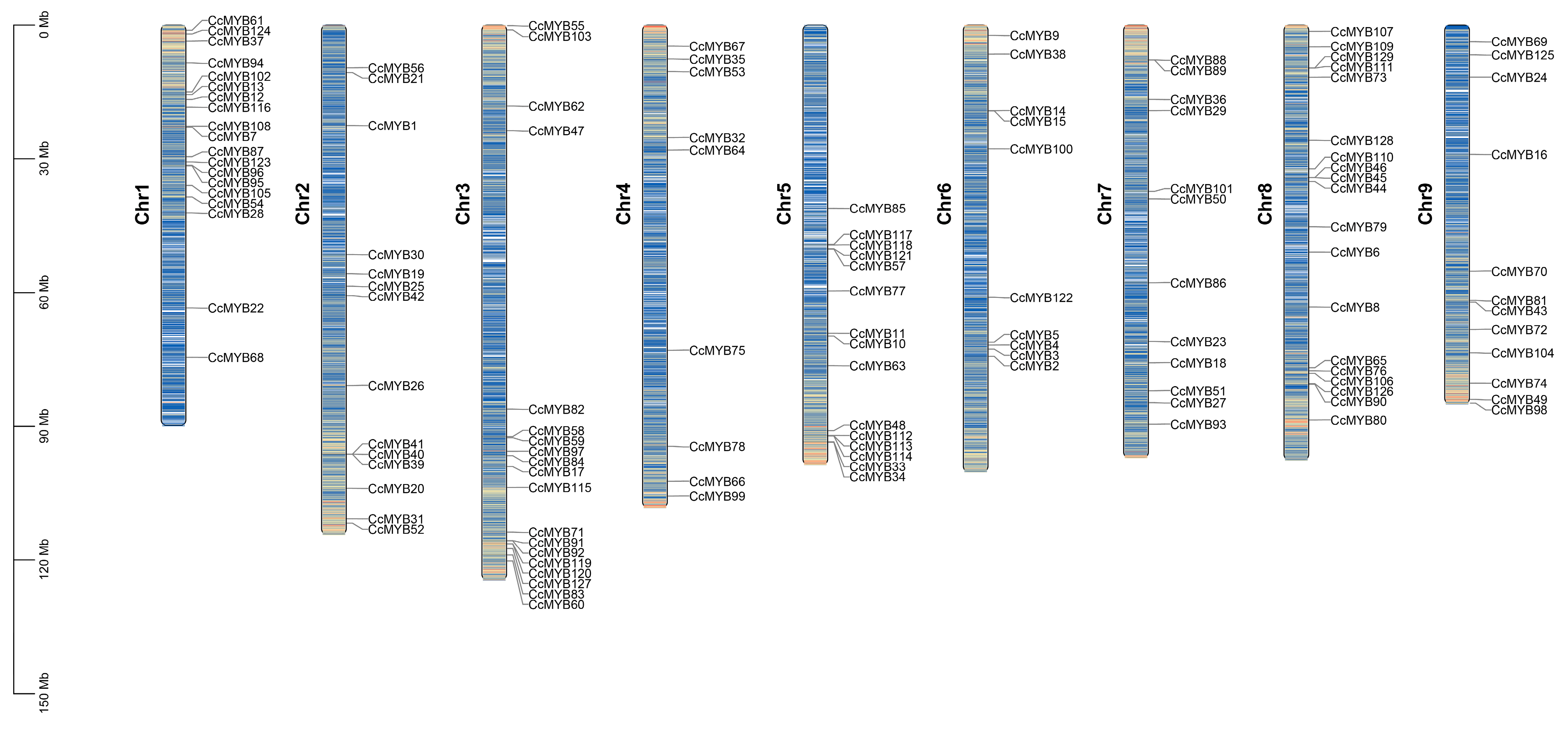 Genes 16 00476 g001