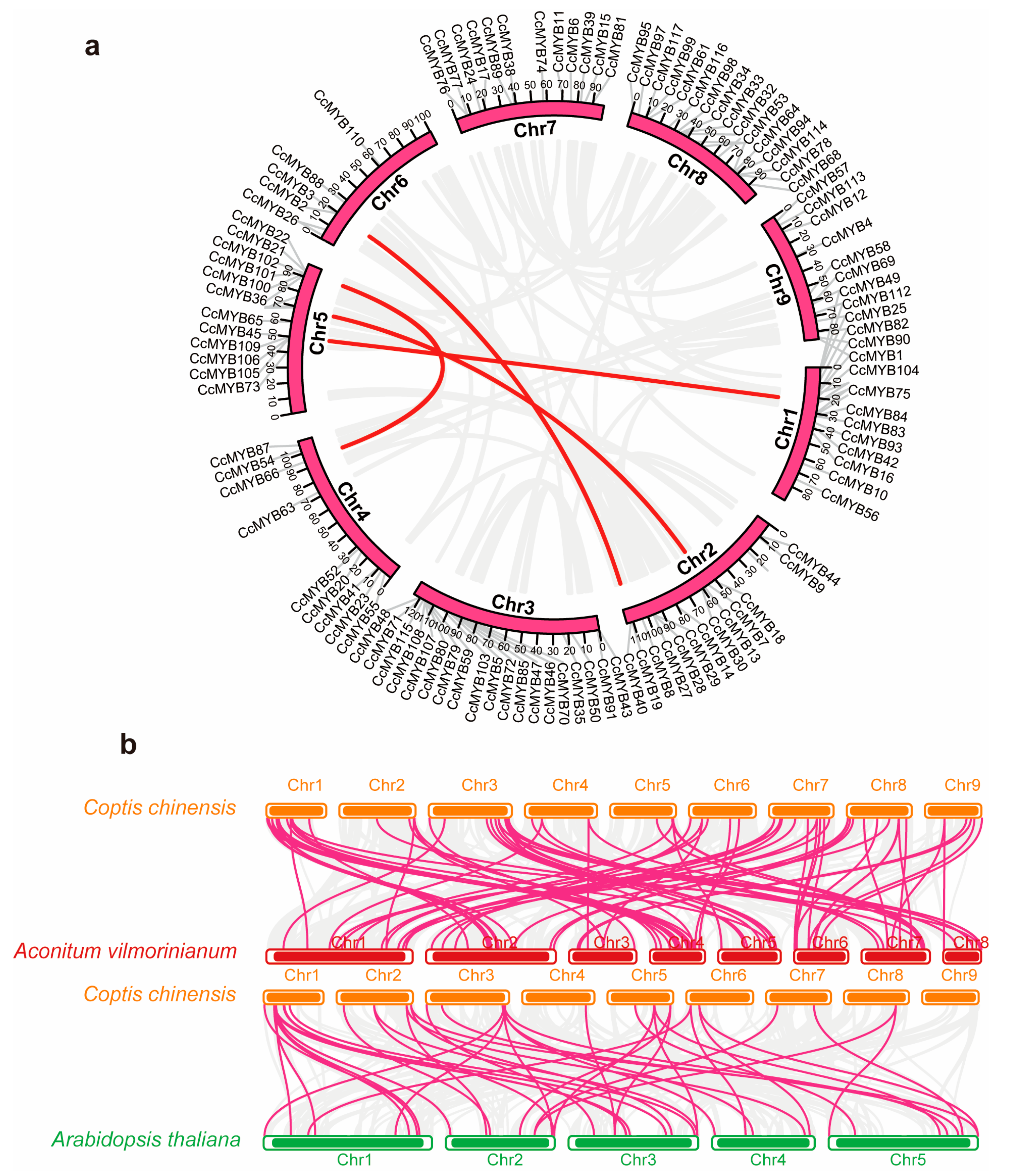 Genes 16 00476 g005