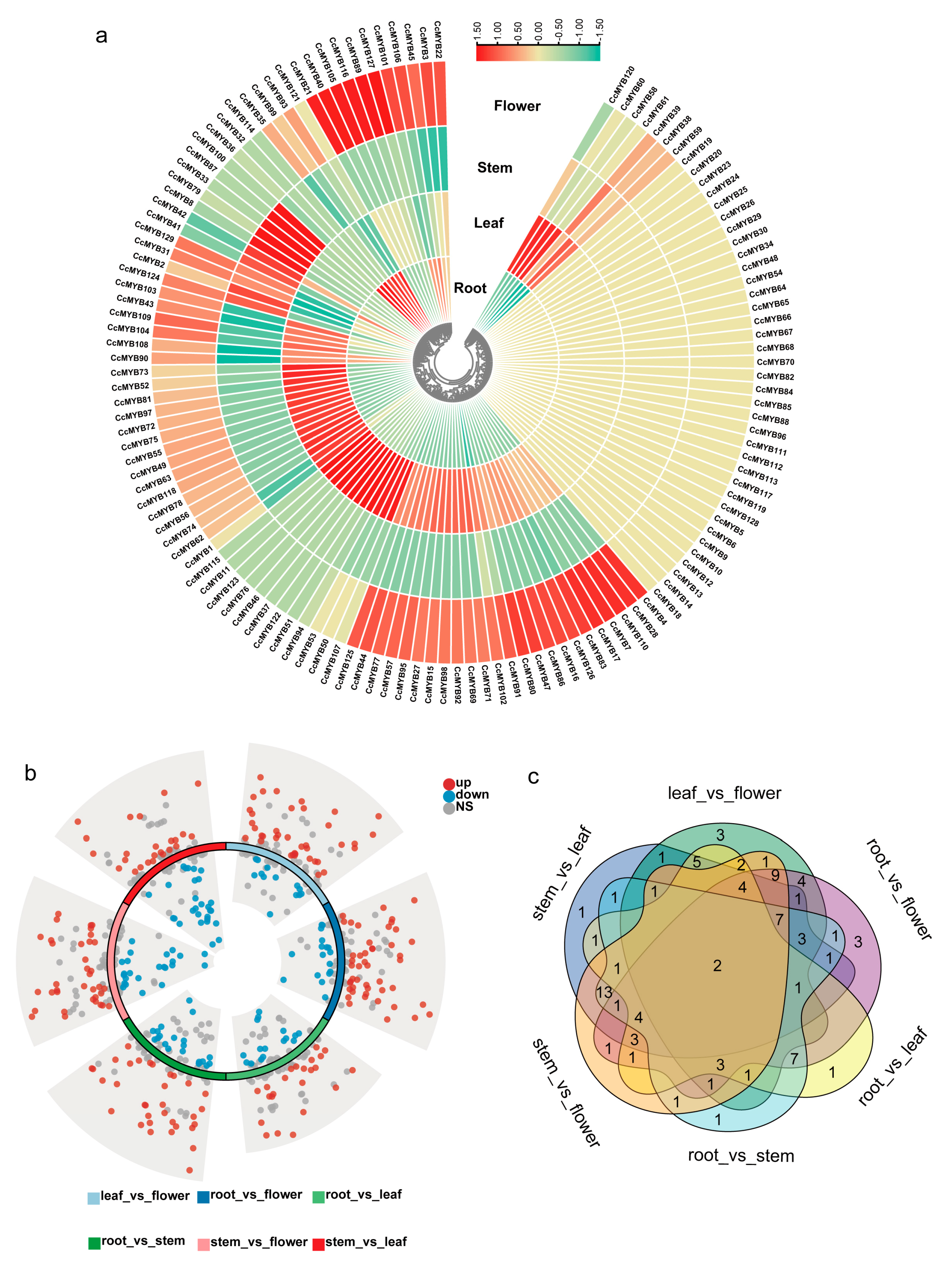 Genes 16 00476 g006
