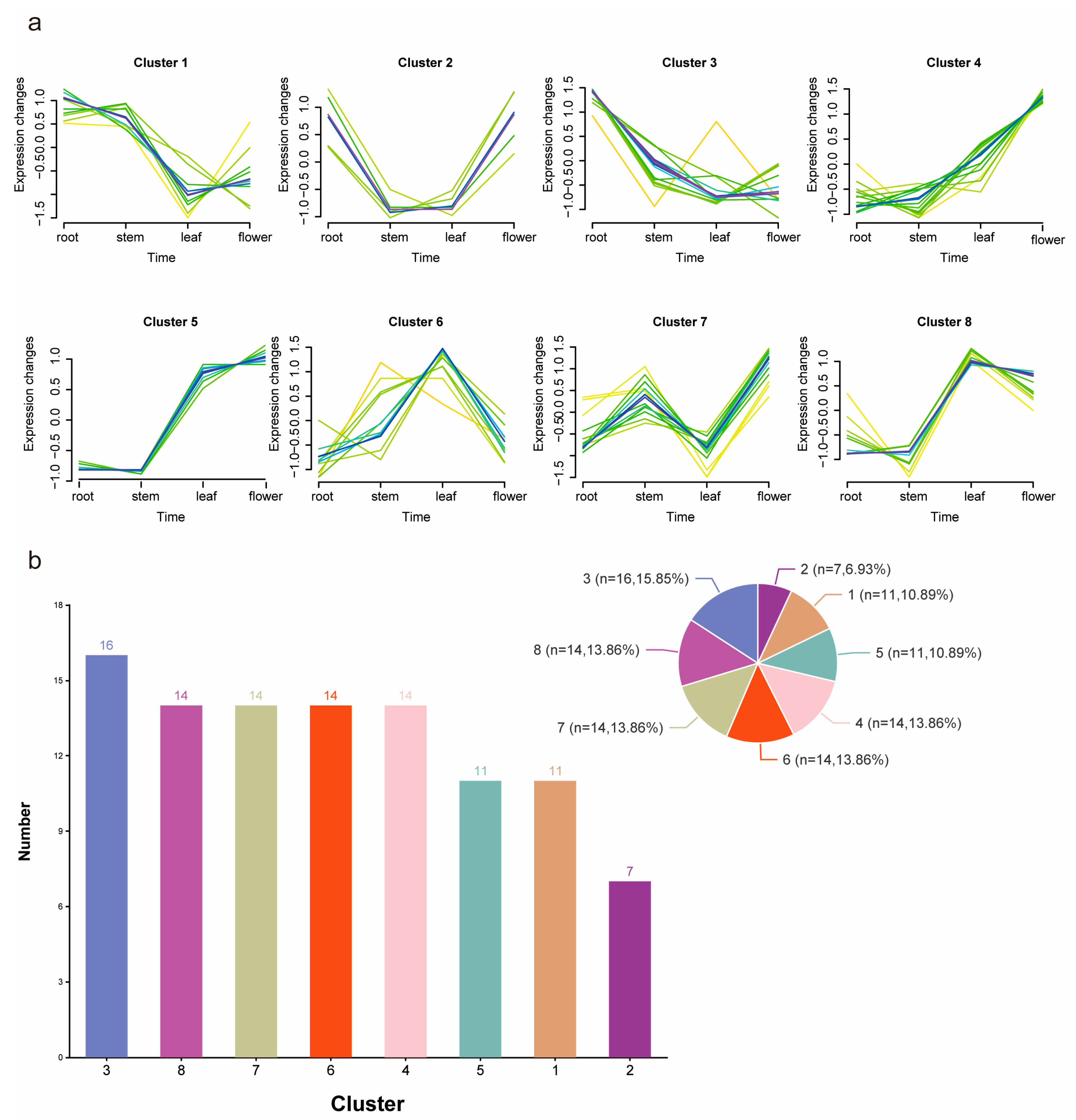 Genes 16 00476 g007