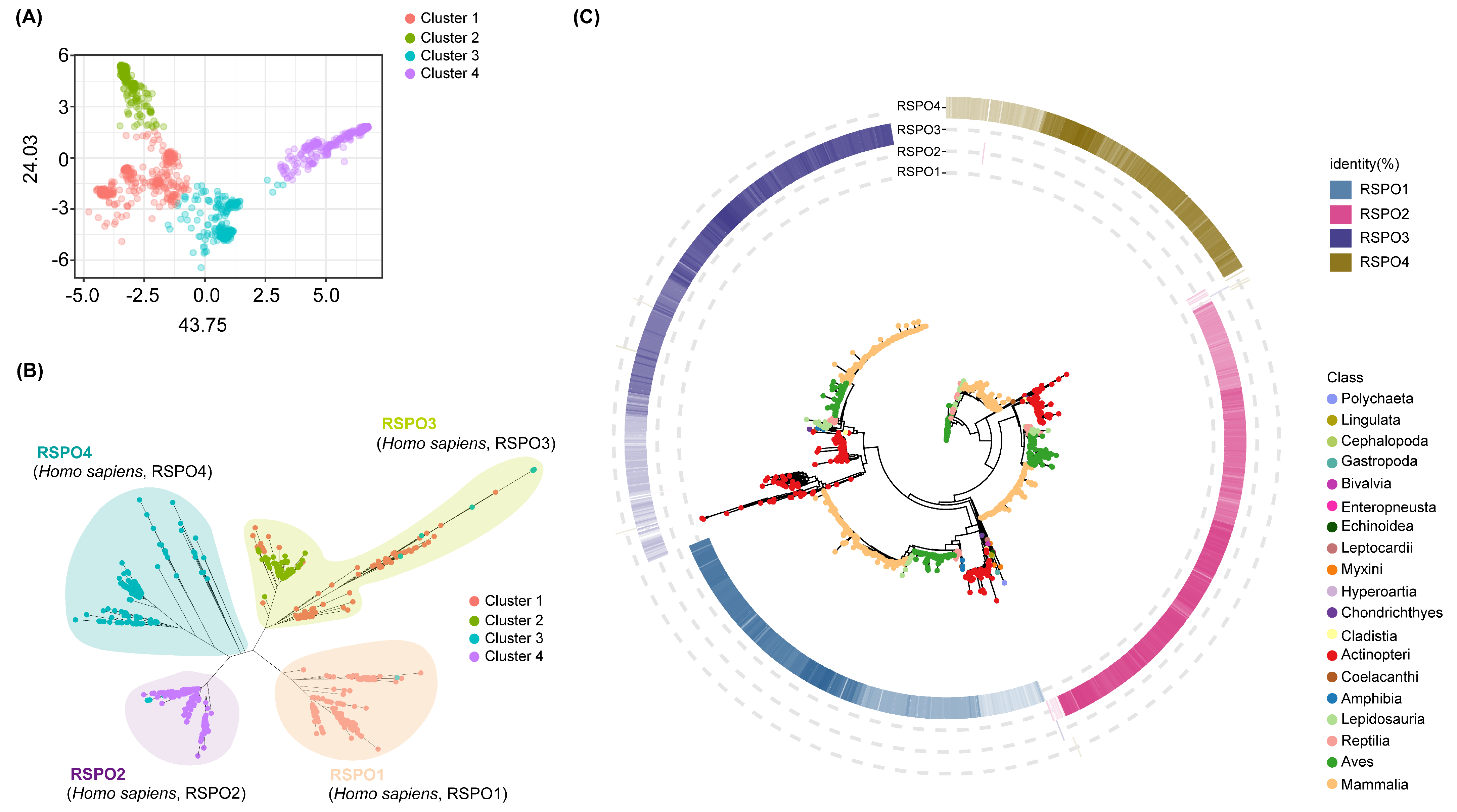 Genes 16 00477 g001 Genes 16 00477 g001