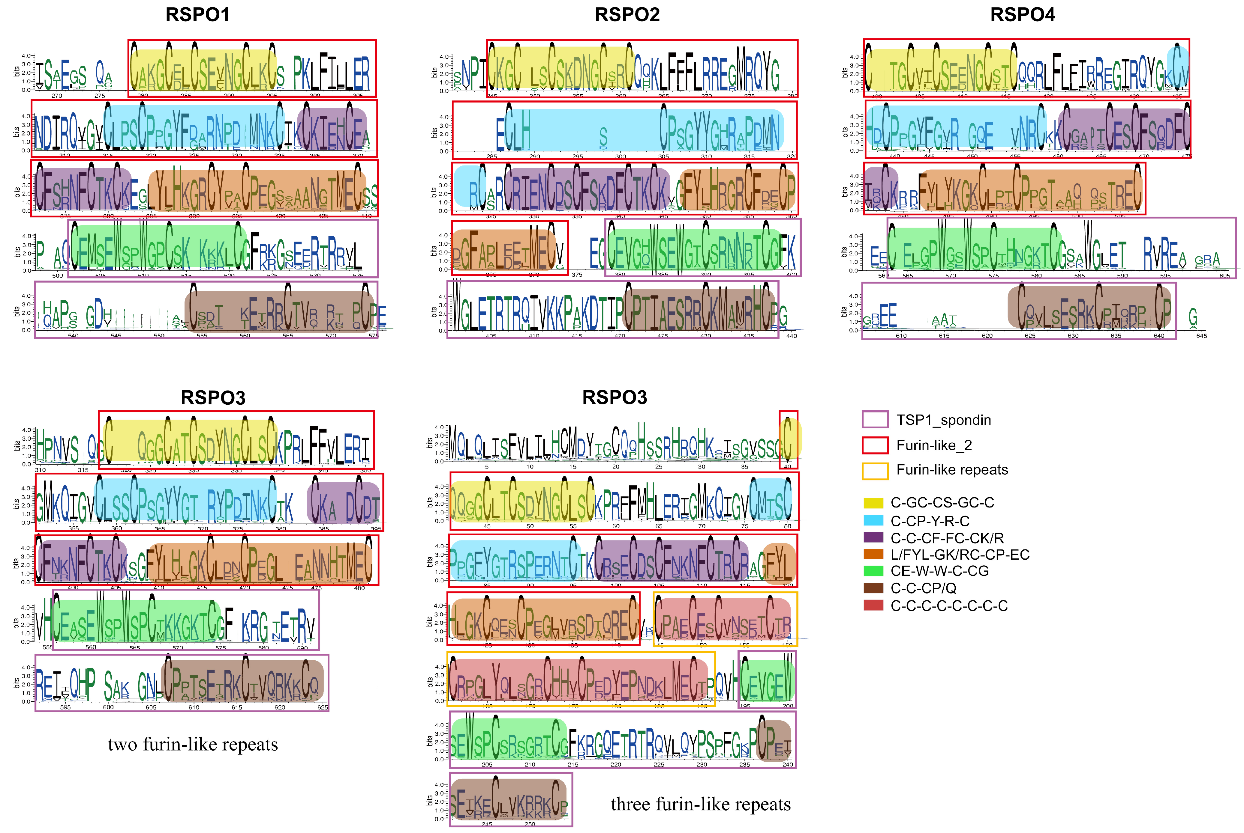 Genes 16 00477 g004 Genes 16 00477 g004