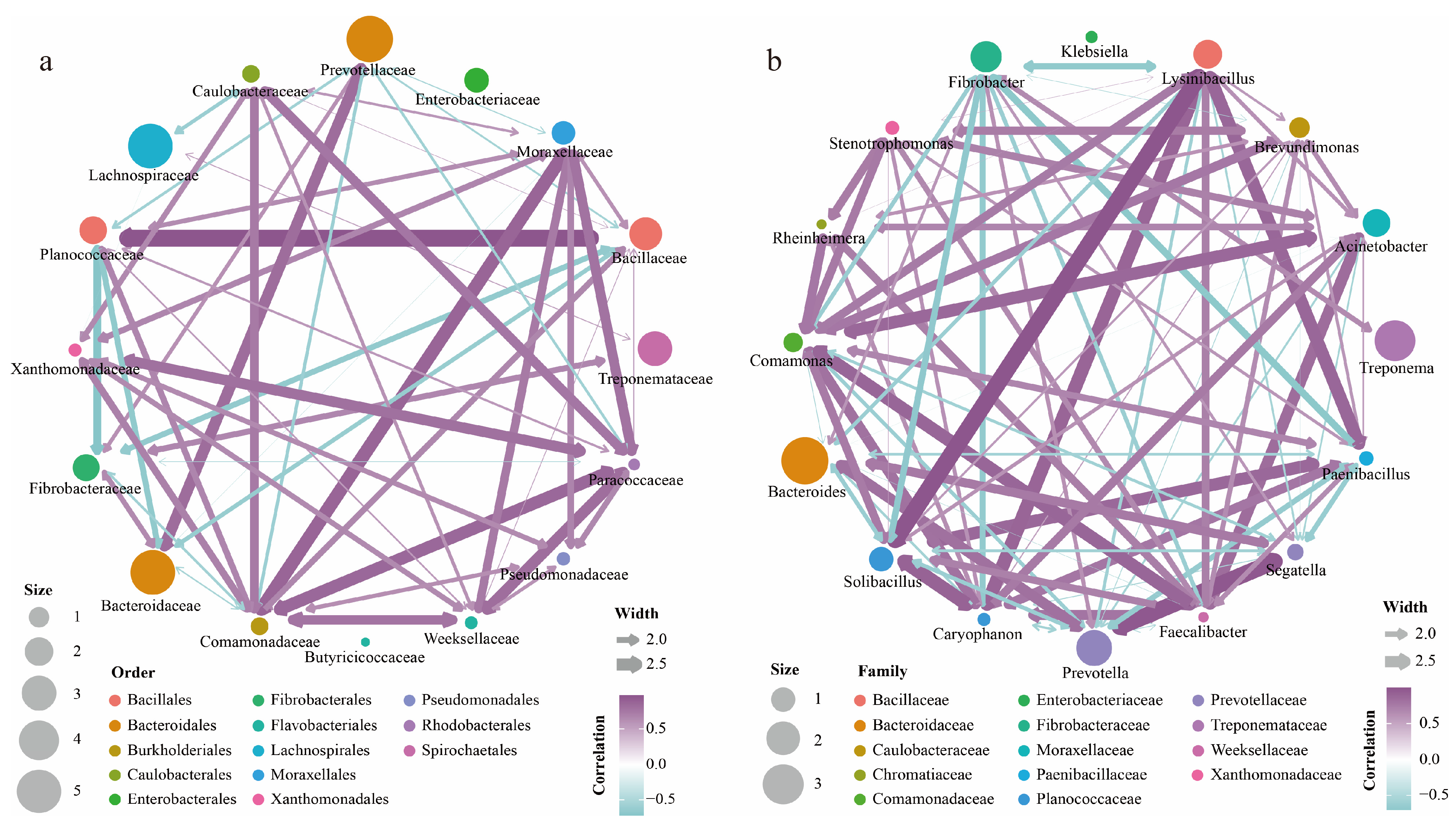 Genes 16 00483 g004