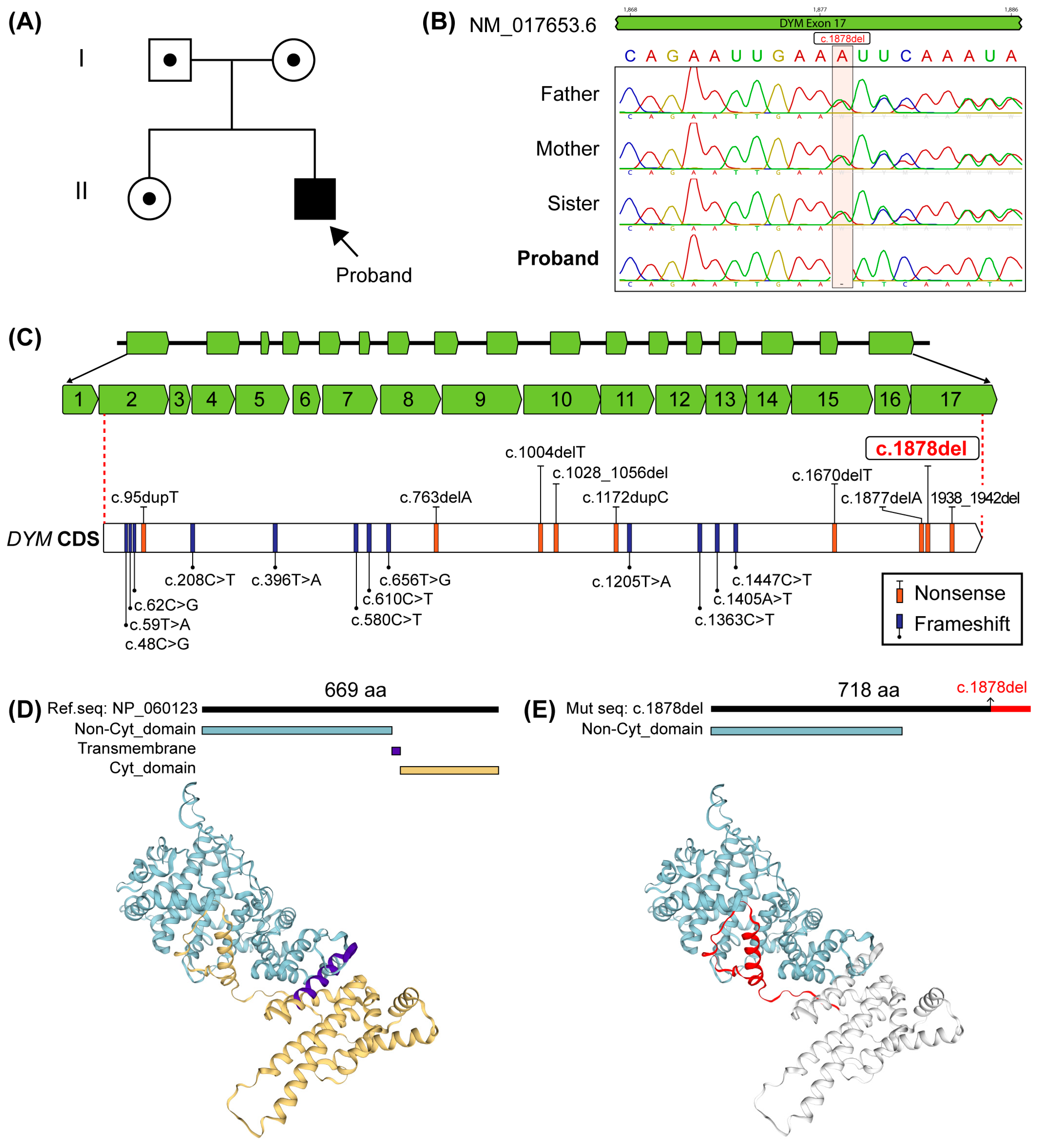 Genes 16 00490 g002