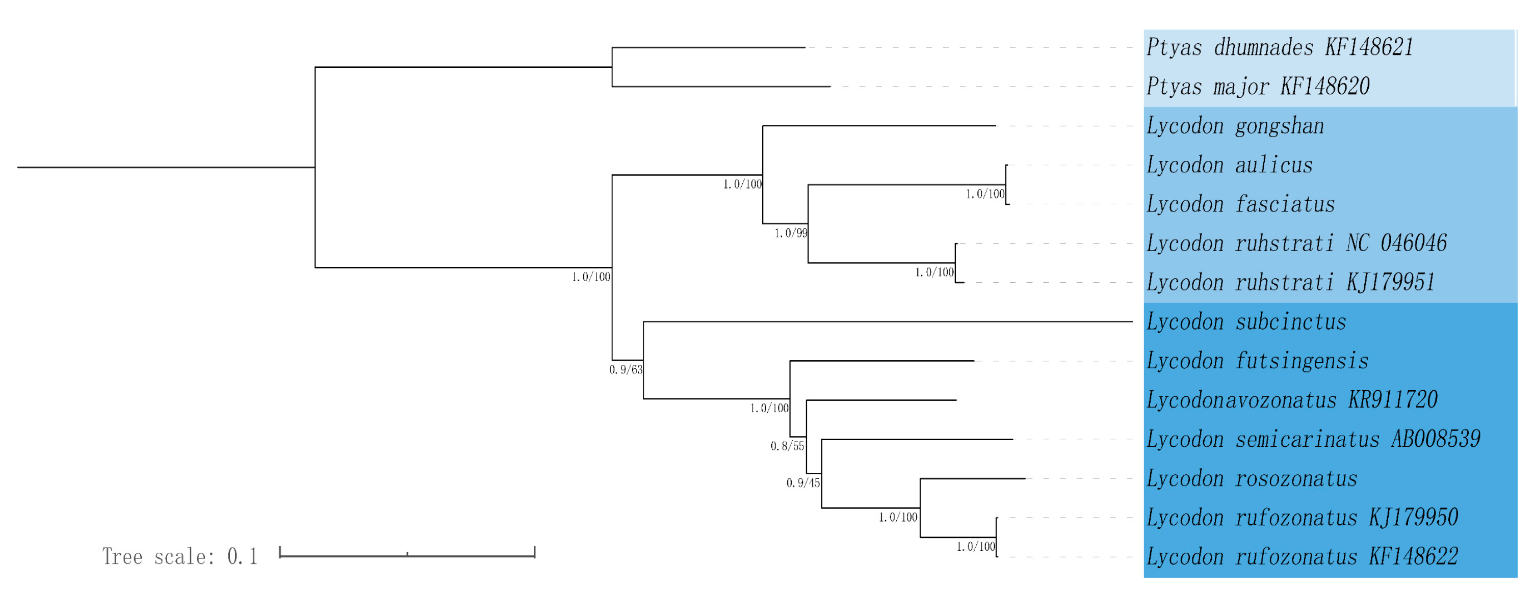 Genes 16 00493 g004 Genes 16 00493 g004