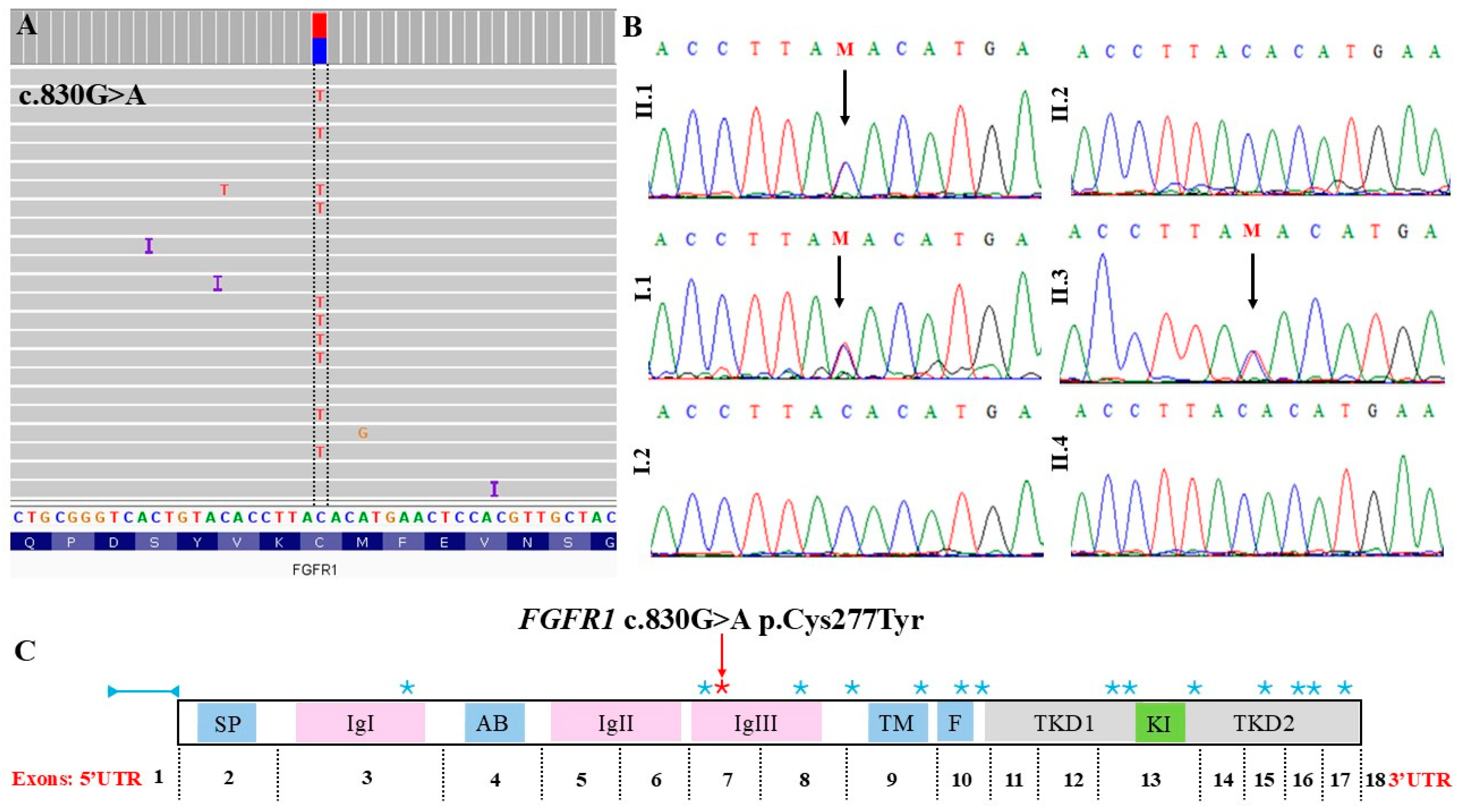 Genes 16 00495 g002