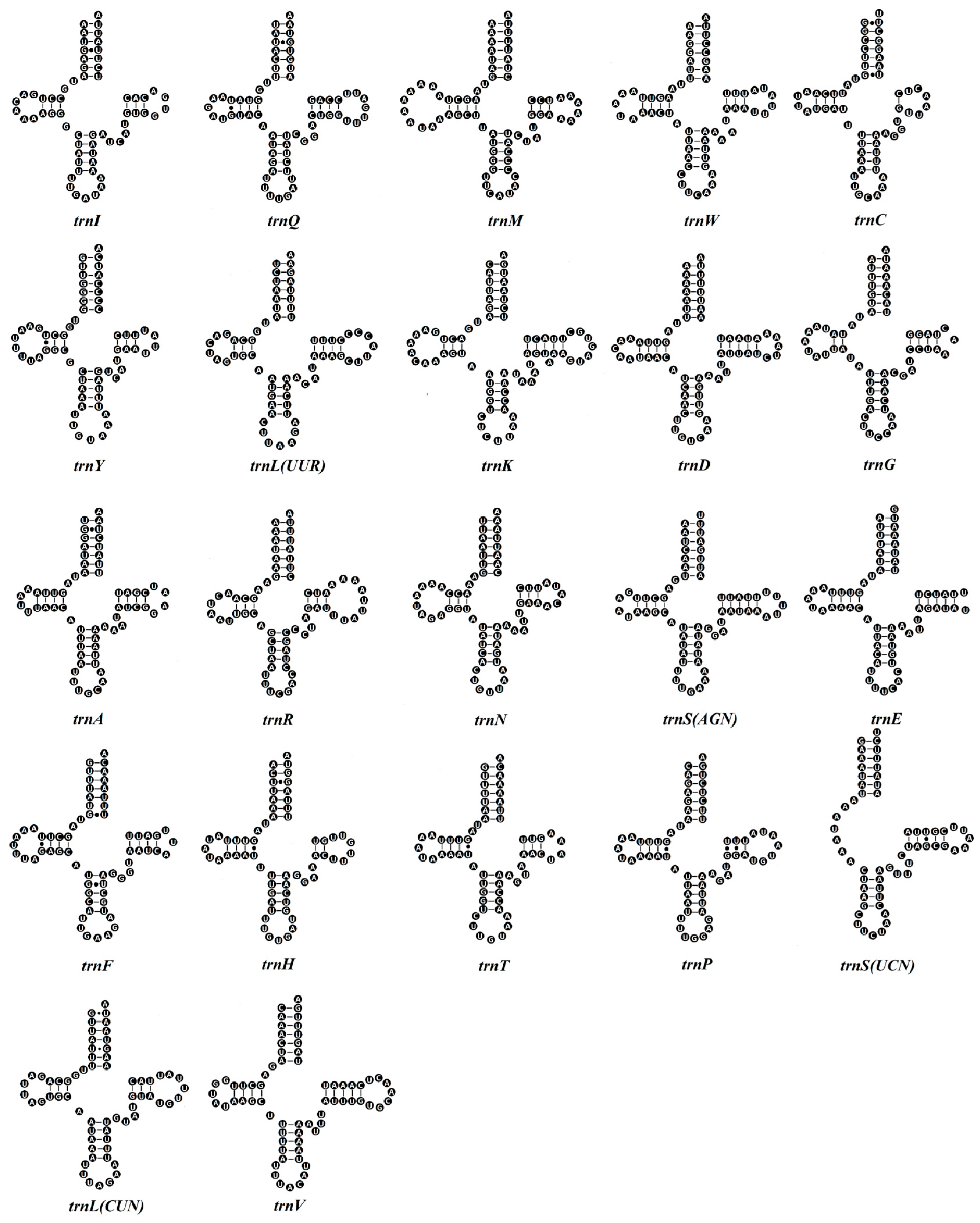 Genes 16 00509 g004 Genes 16 00509 g004