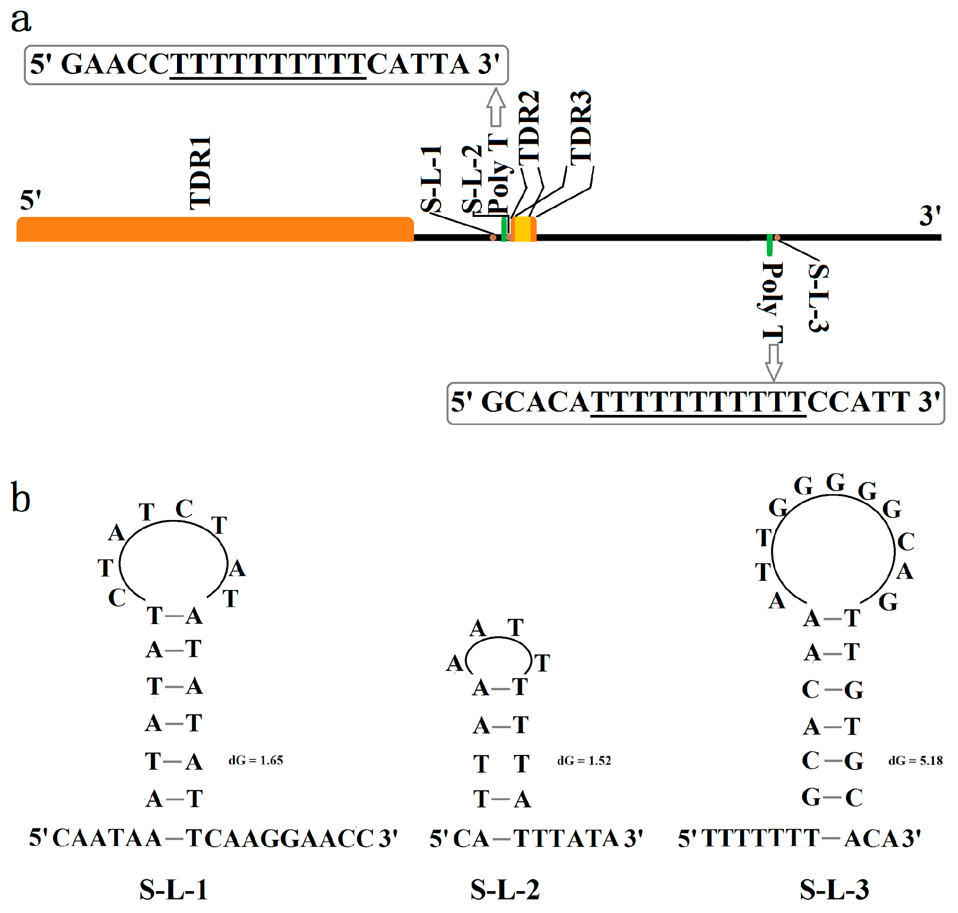 Genes 16 00509 g005 Genes 16 00509 g005