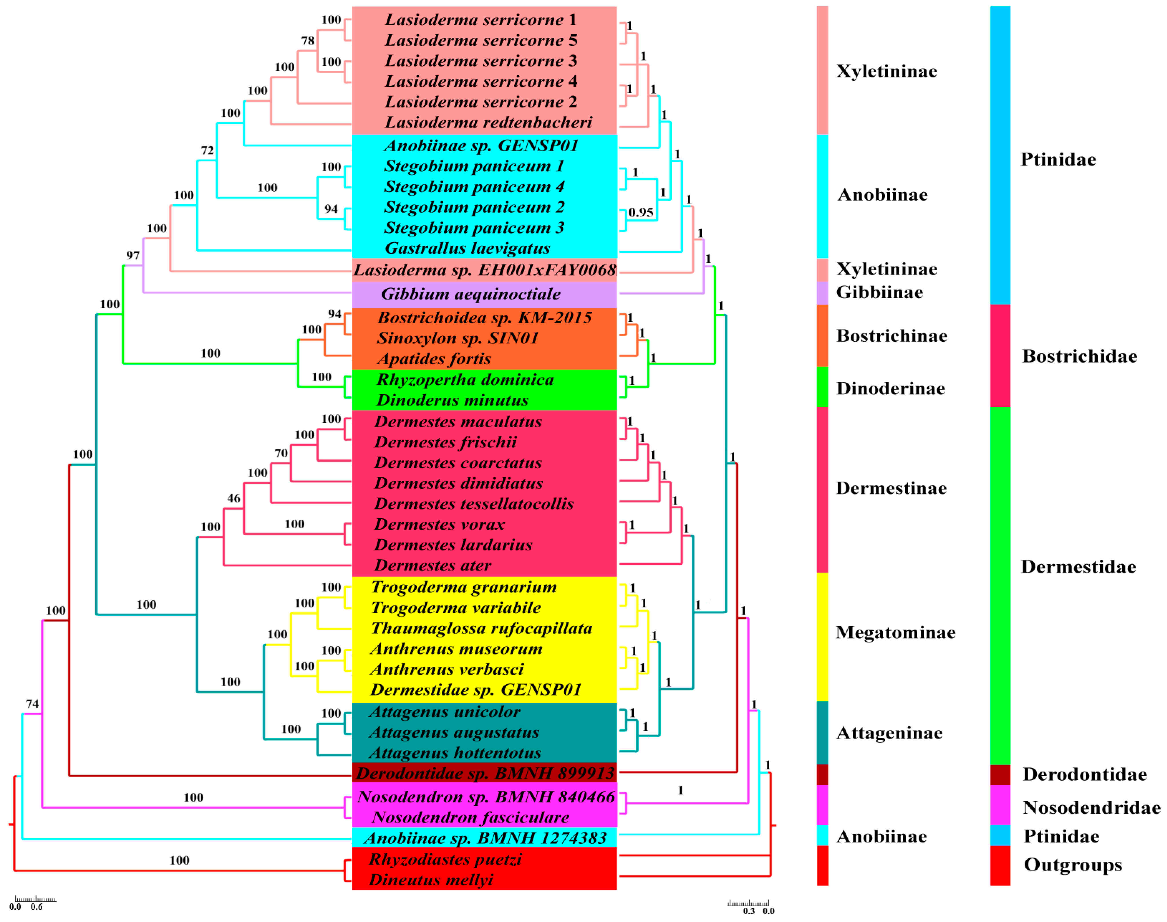 Genes 16 00509 g006 Genes 16 00509 g006