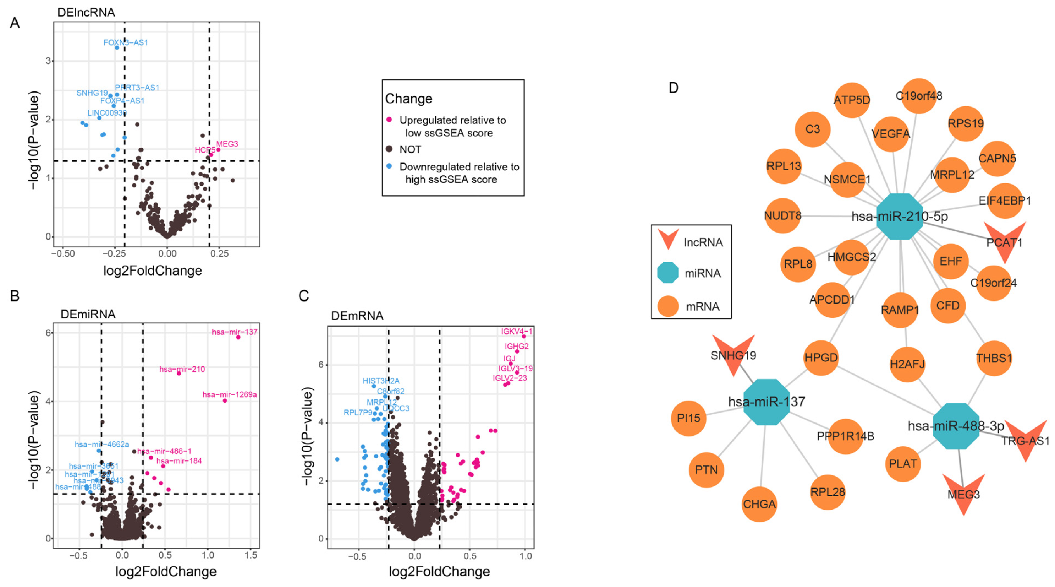 Genes 16 00527 g005