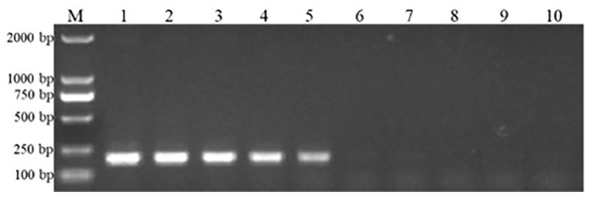 Genes 16 00529 g004