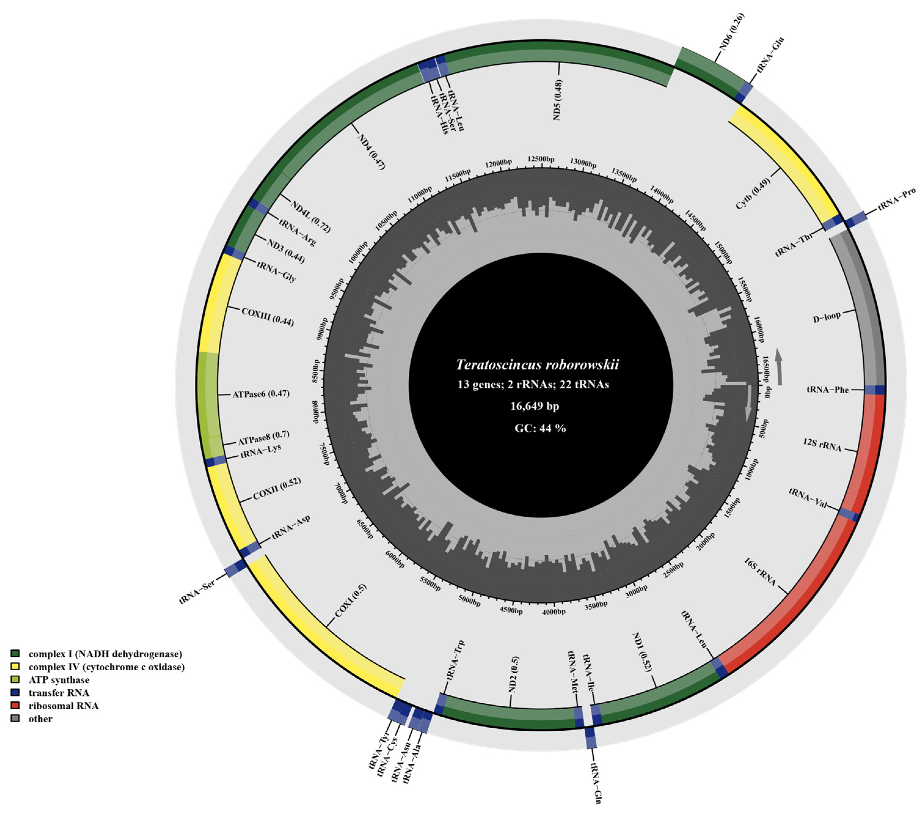 Genes 16 00531 g001 Genes 16 00531 g001