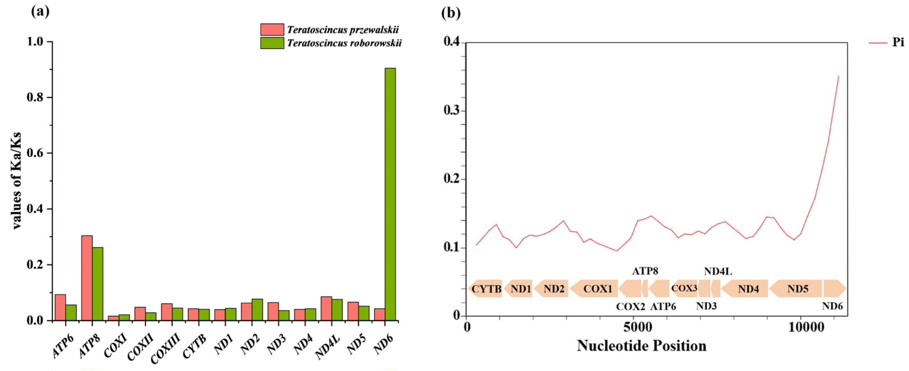 Genes 16 00531 g004 Genes 16 00531 g004