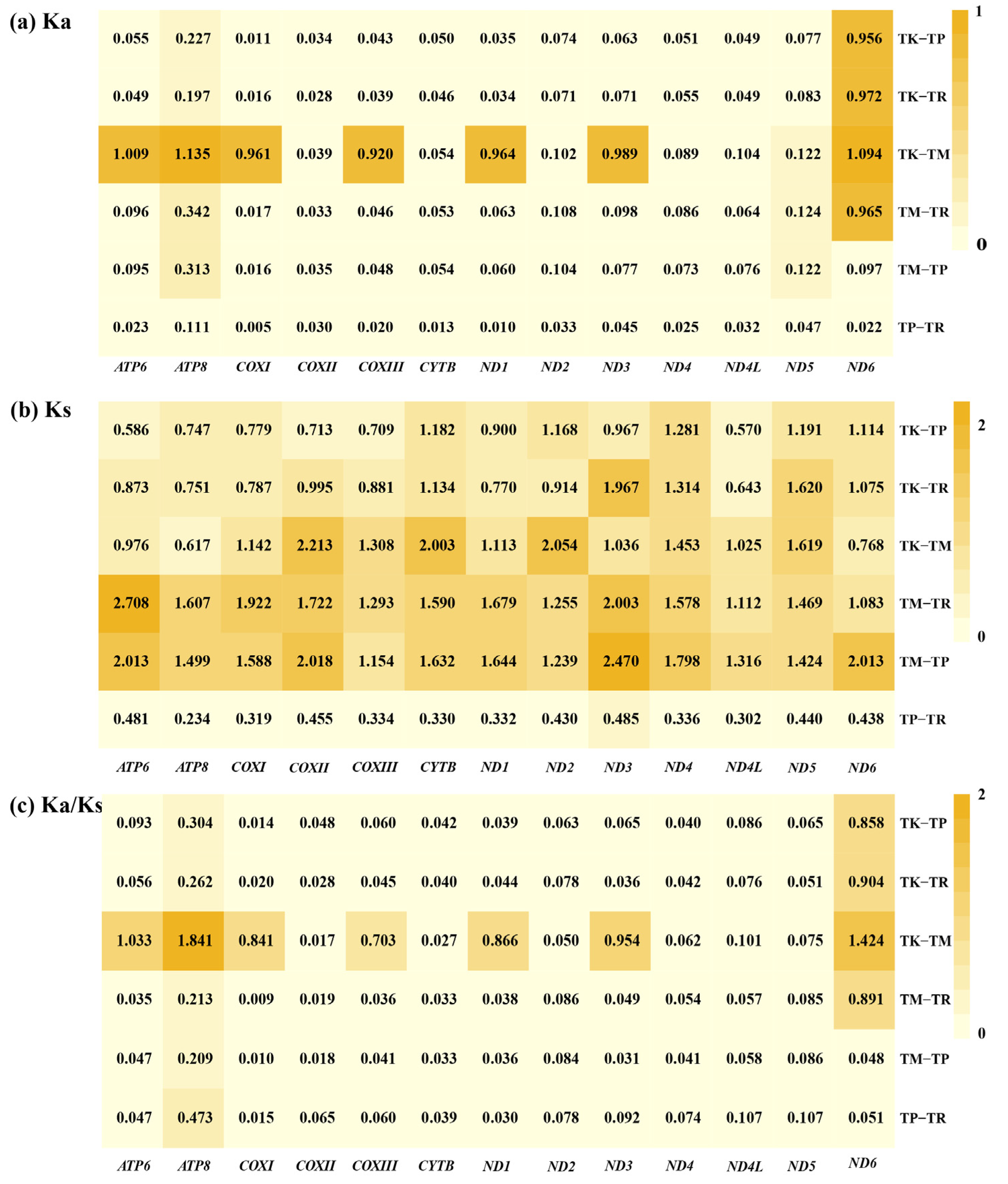 Genes 16 00531 g005 Genes 16 00531 g005