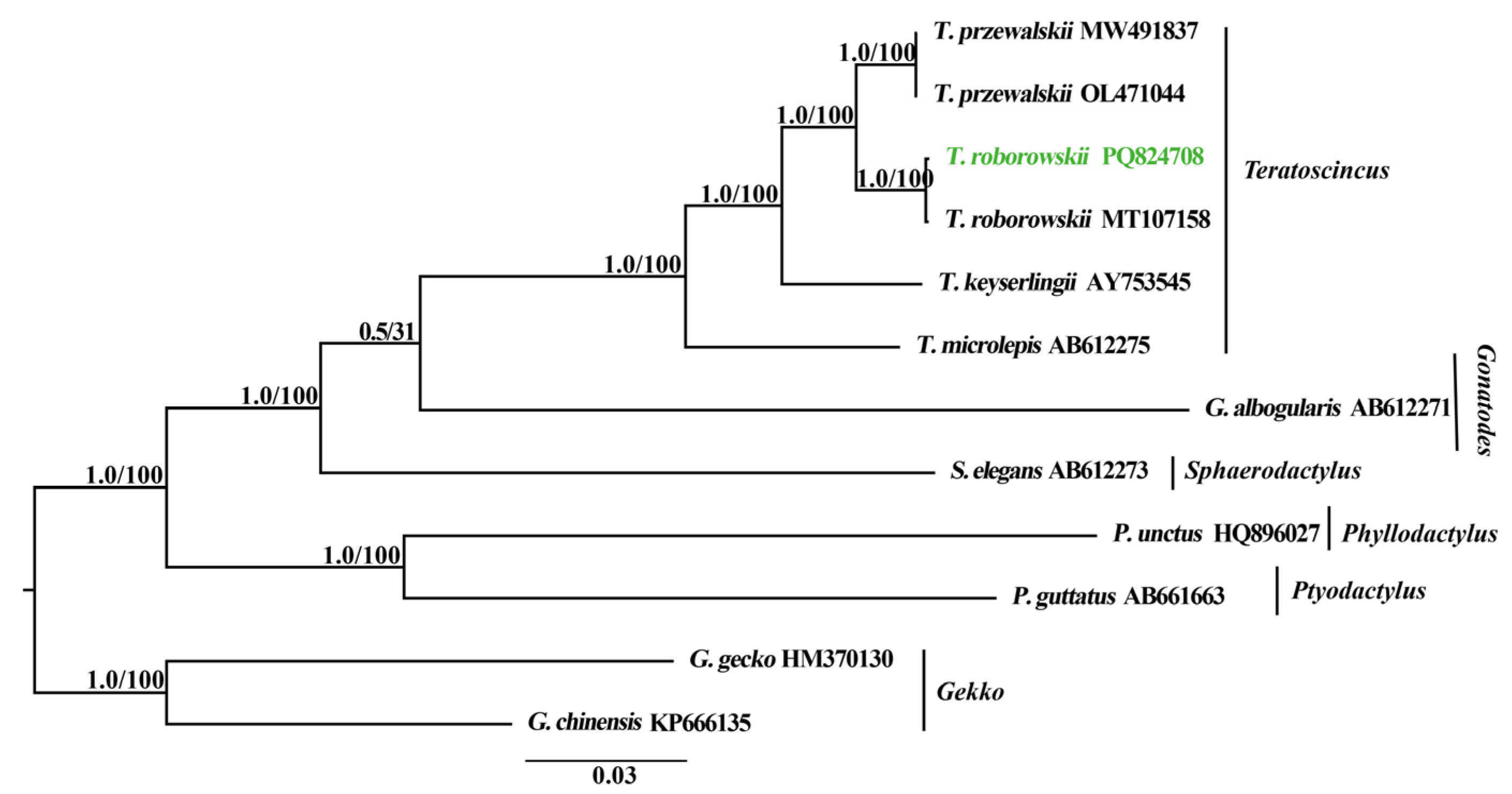 Genes 16 00531 g008 Genes 16 00531 g008
