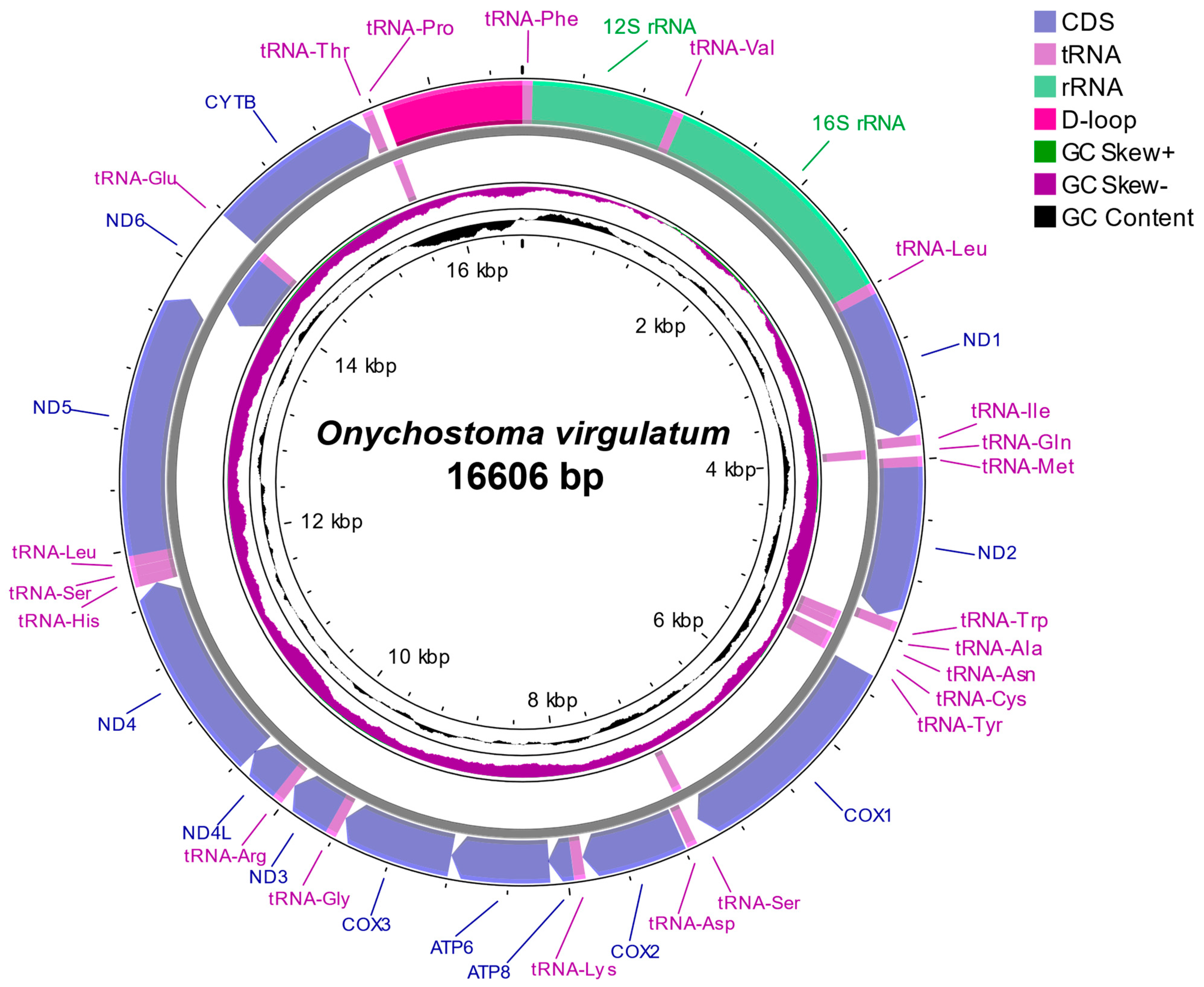 Genes 16 00541 g002
