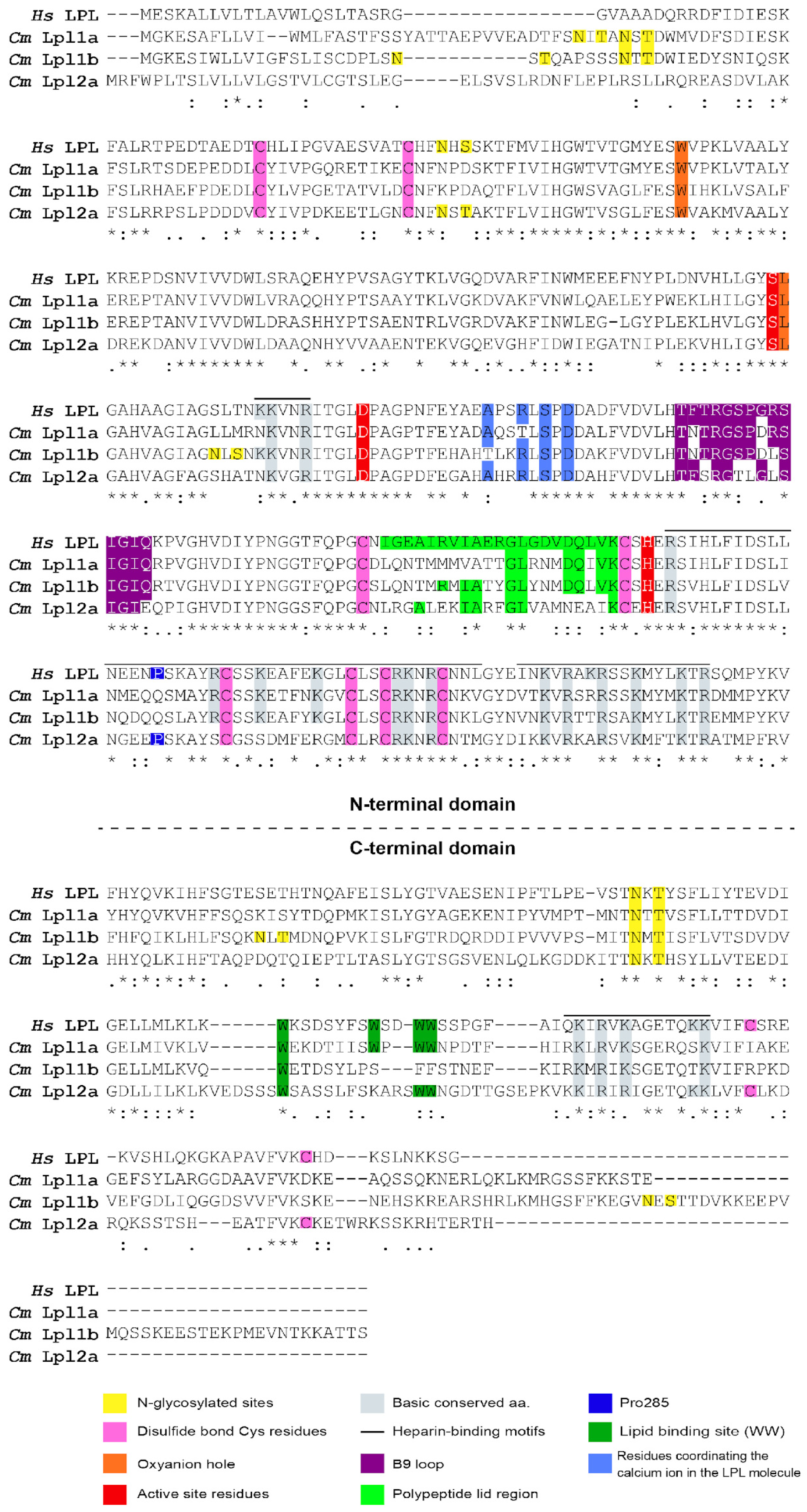 Genes 16 00548 g004