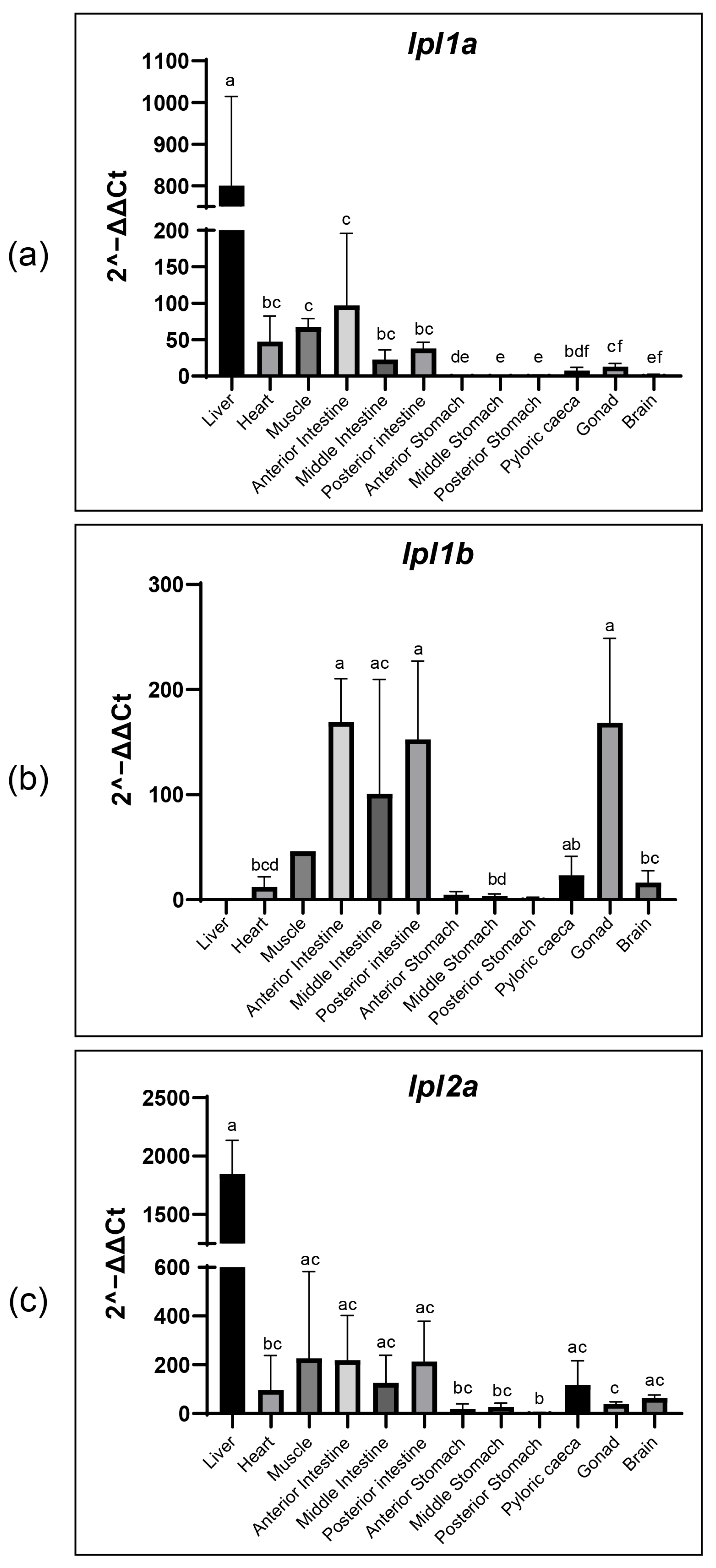 Genes 16 00548 g006