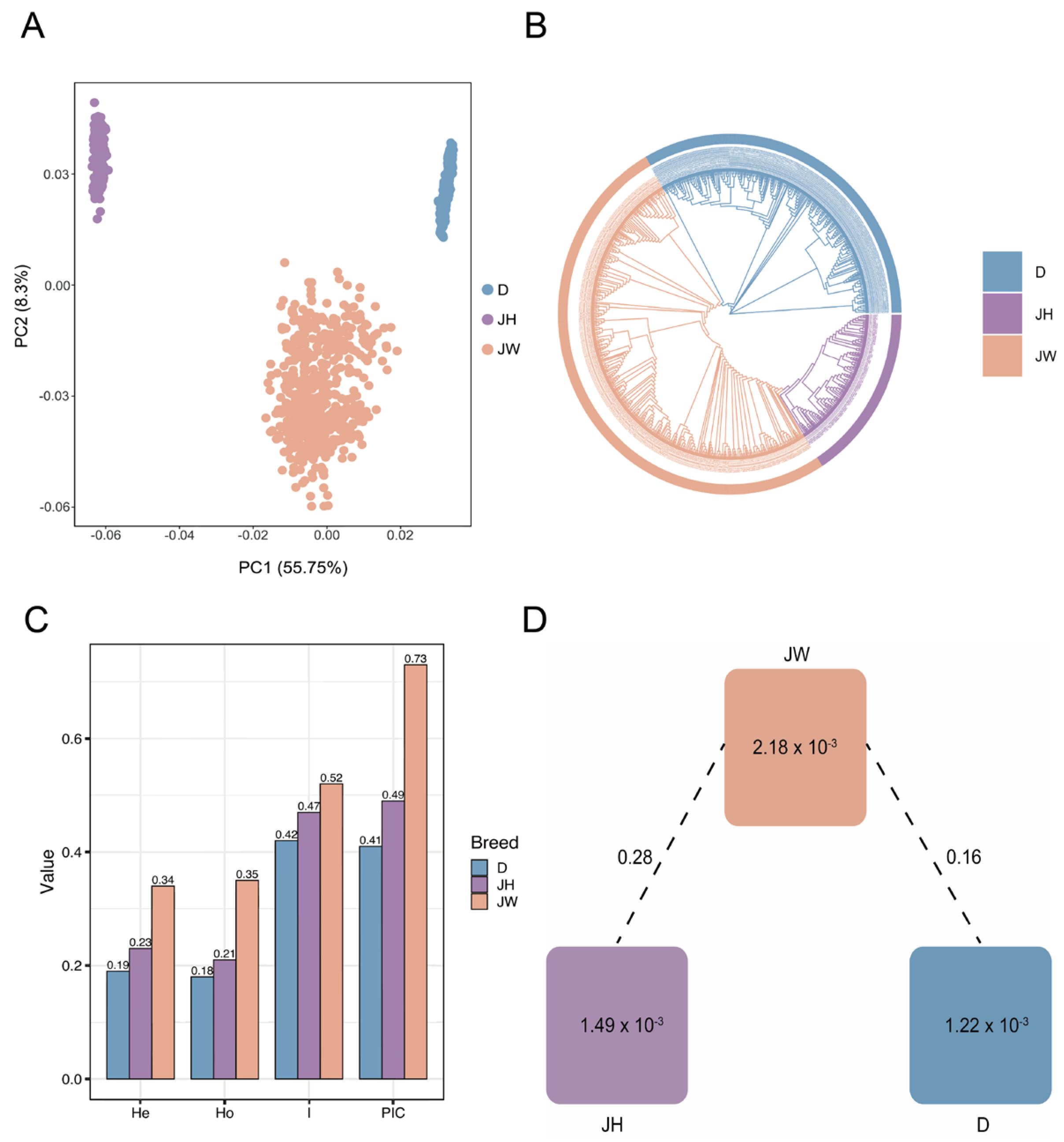 Genes 16 00550 g002