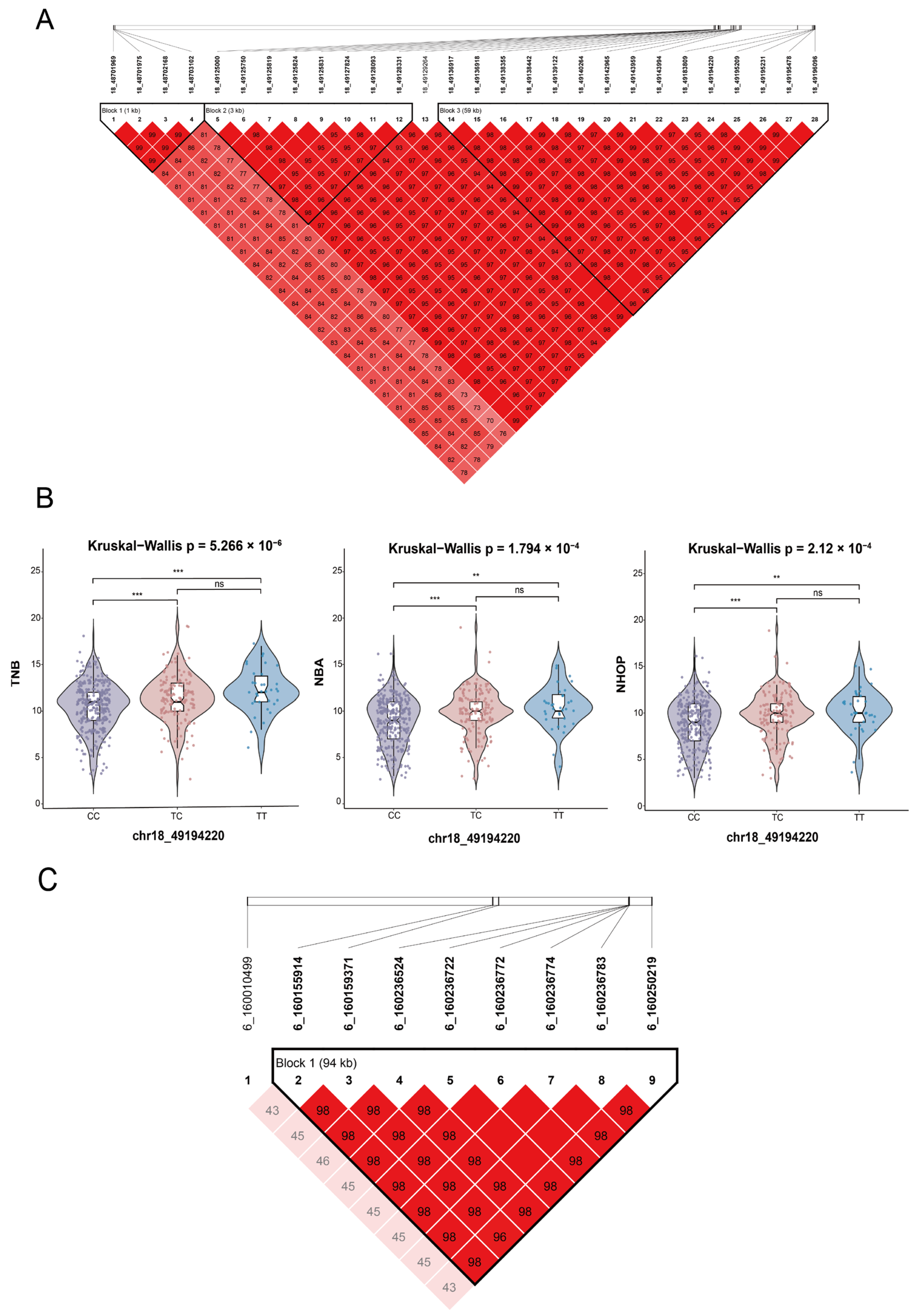 Genes 16 00550 g004
