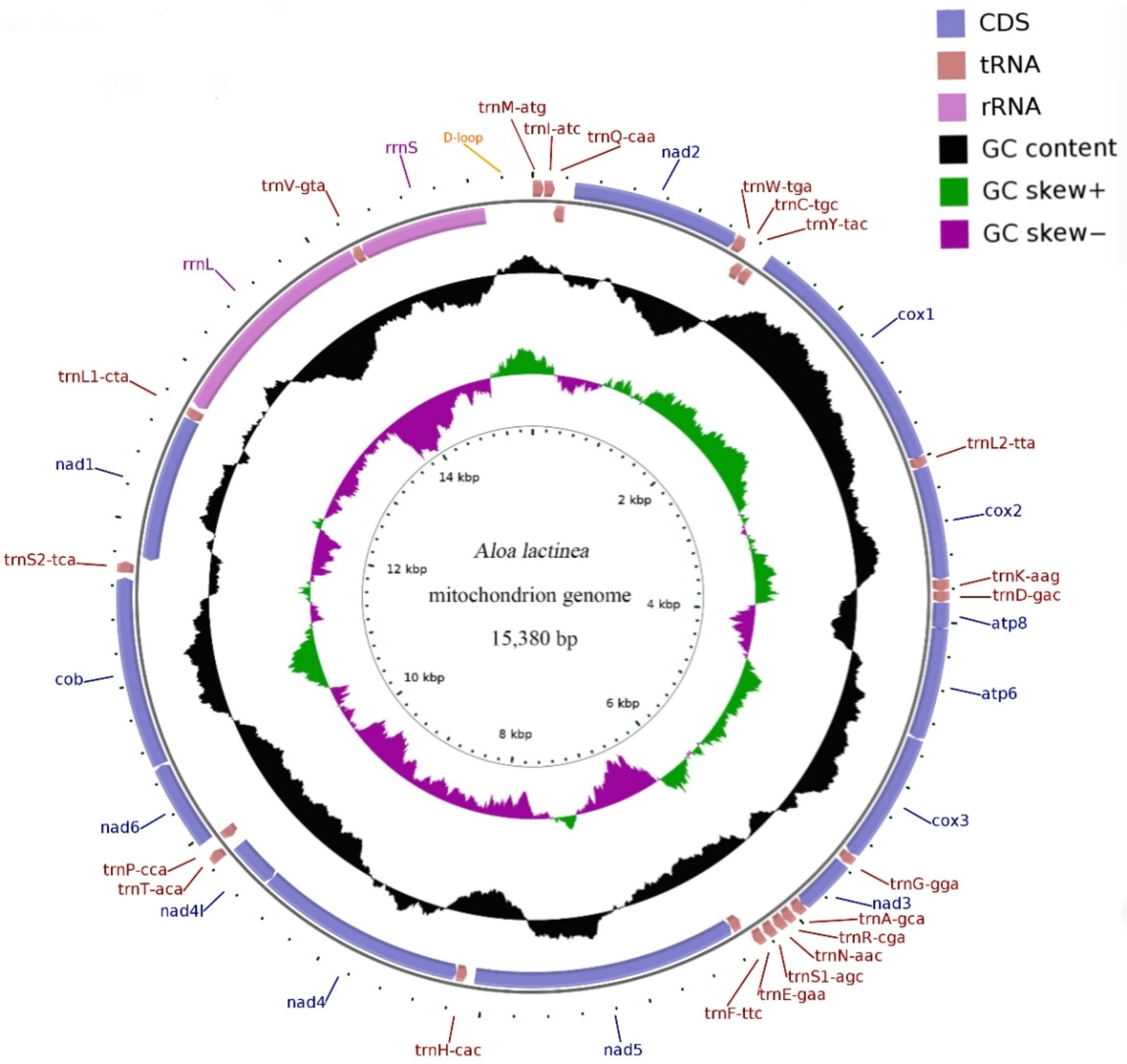 Genes 16 00554 g001 Genes 16 00554 g001