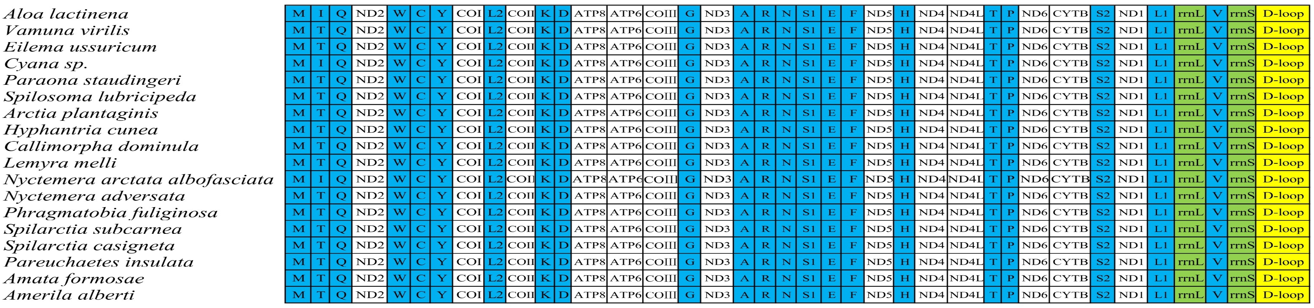 Genes 16 00554 g002 Genes 16 00554 g002