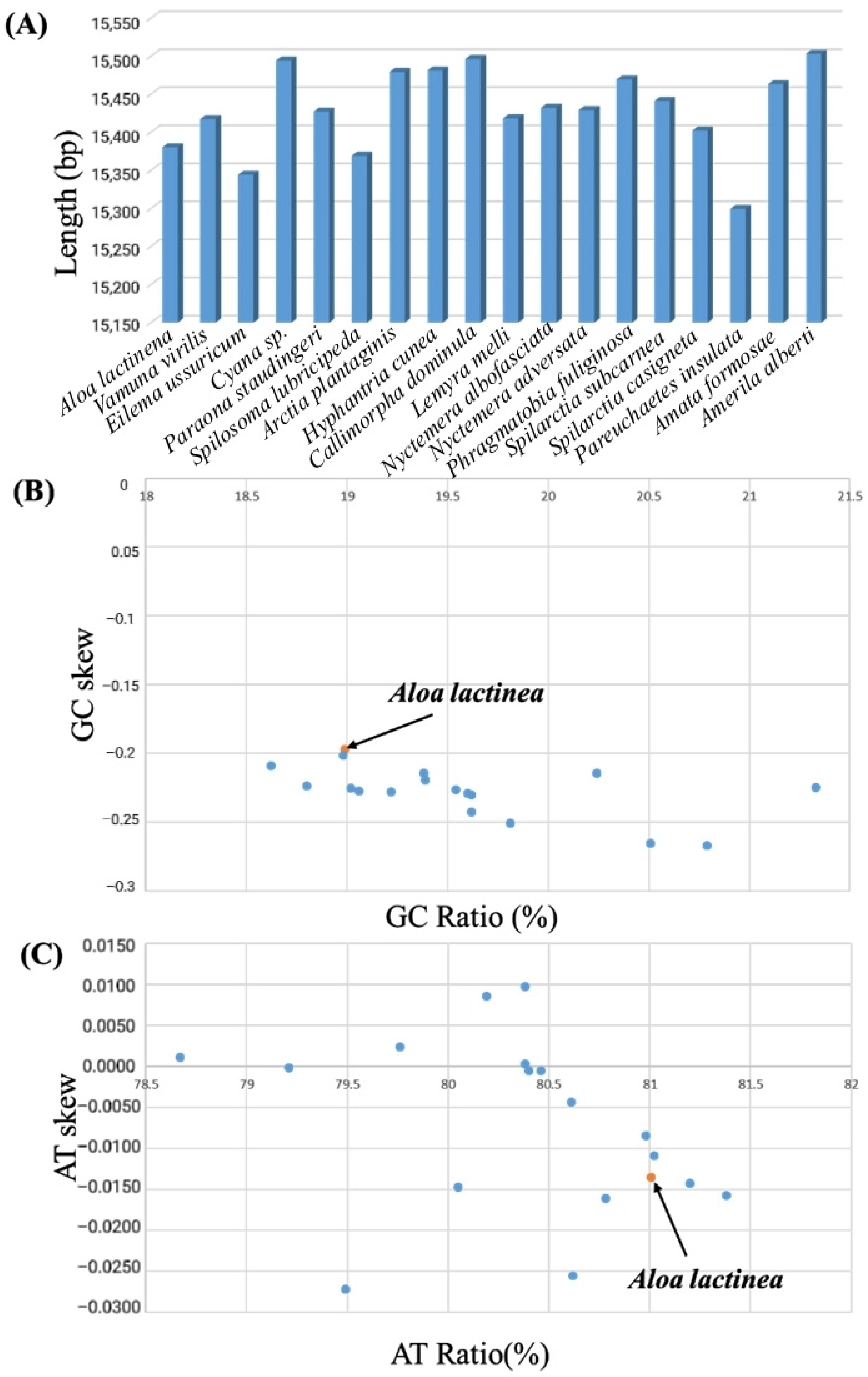 Genes 16 00554 g003 Genes 16 00554 g003