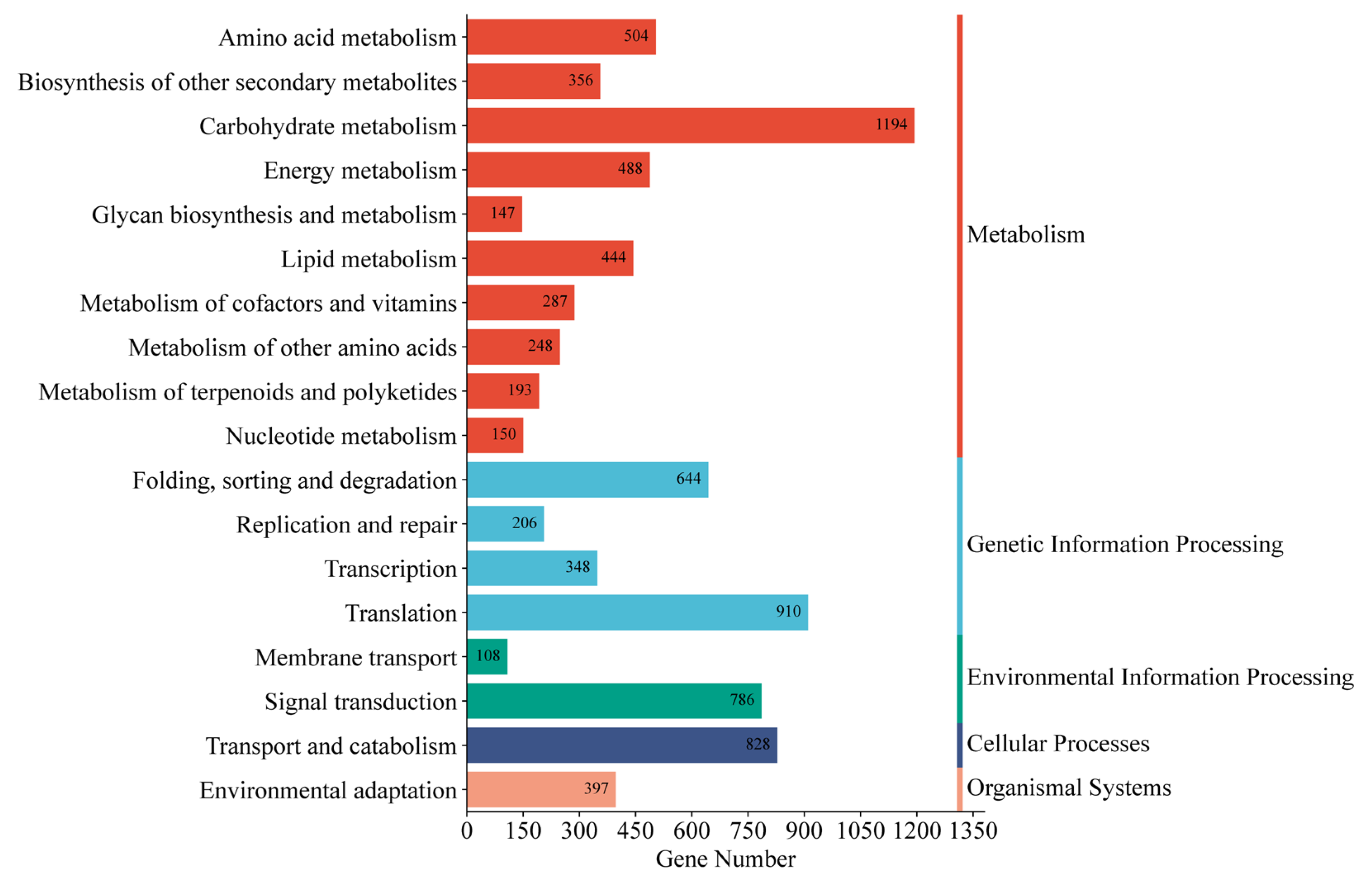 Genes 16 00558 g003