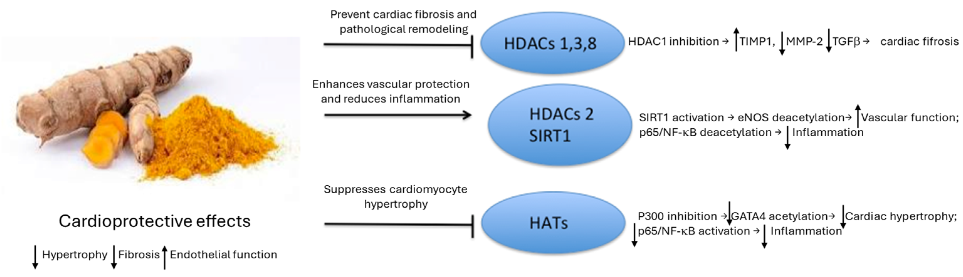 Genes 16 00566 g003 Genes 16 00566 g003