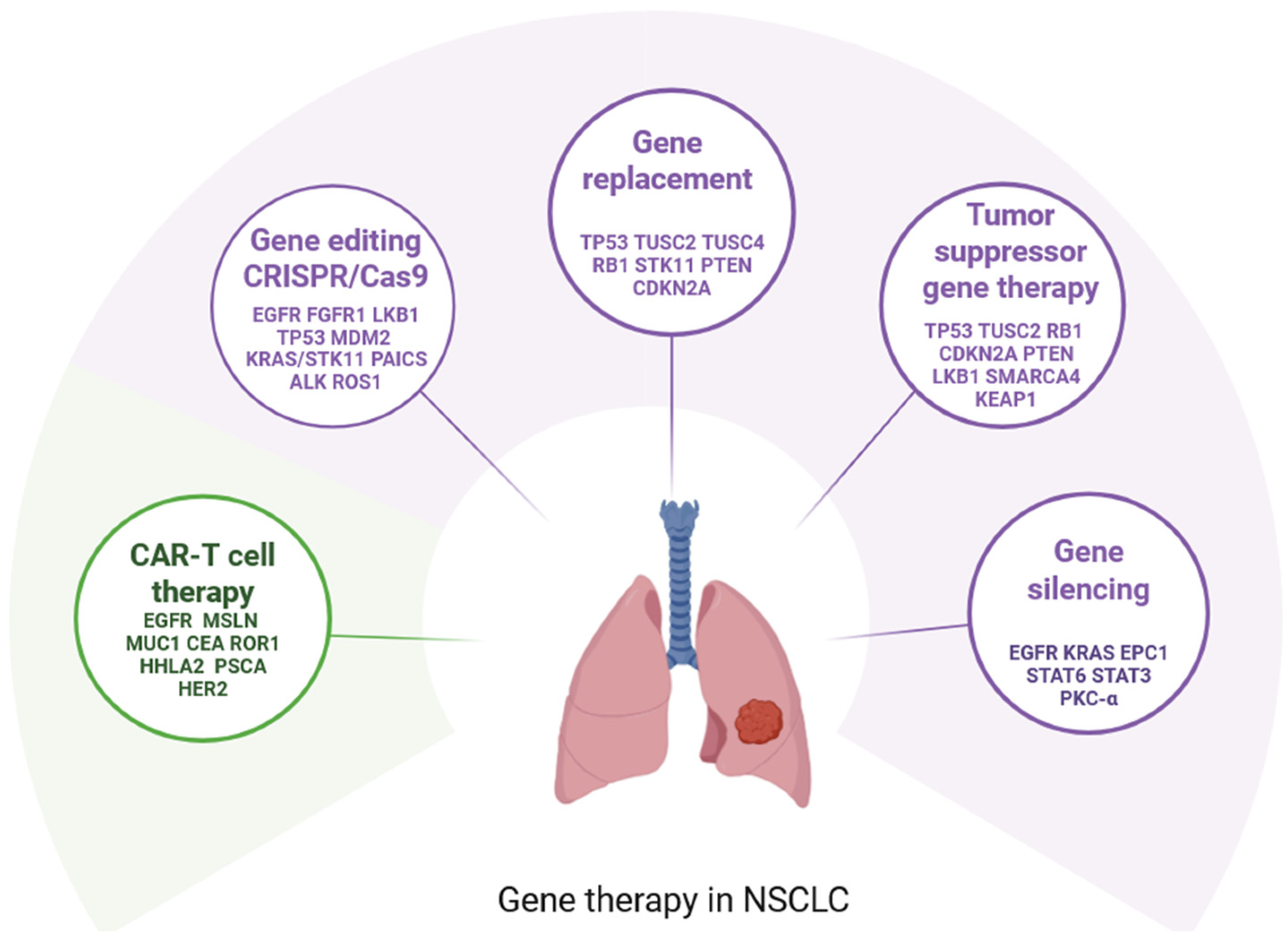 Genes 16 00569 g001 Genes 16 00569 g001