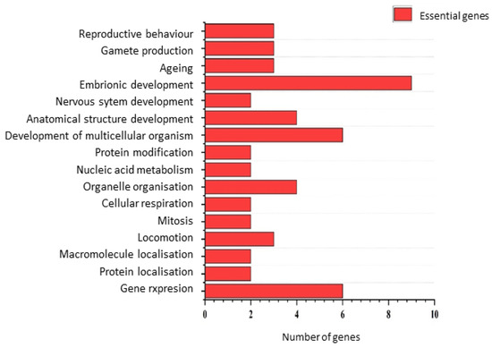 Genetic Background and Gene Essentiality