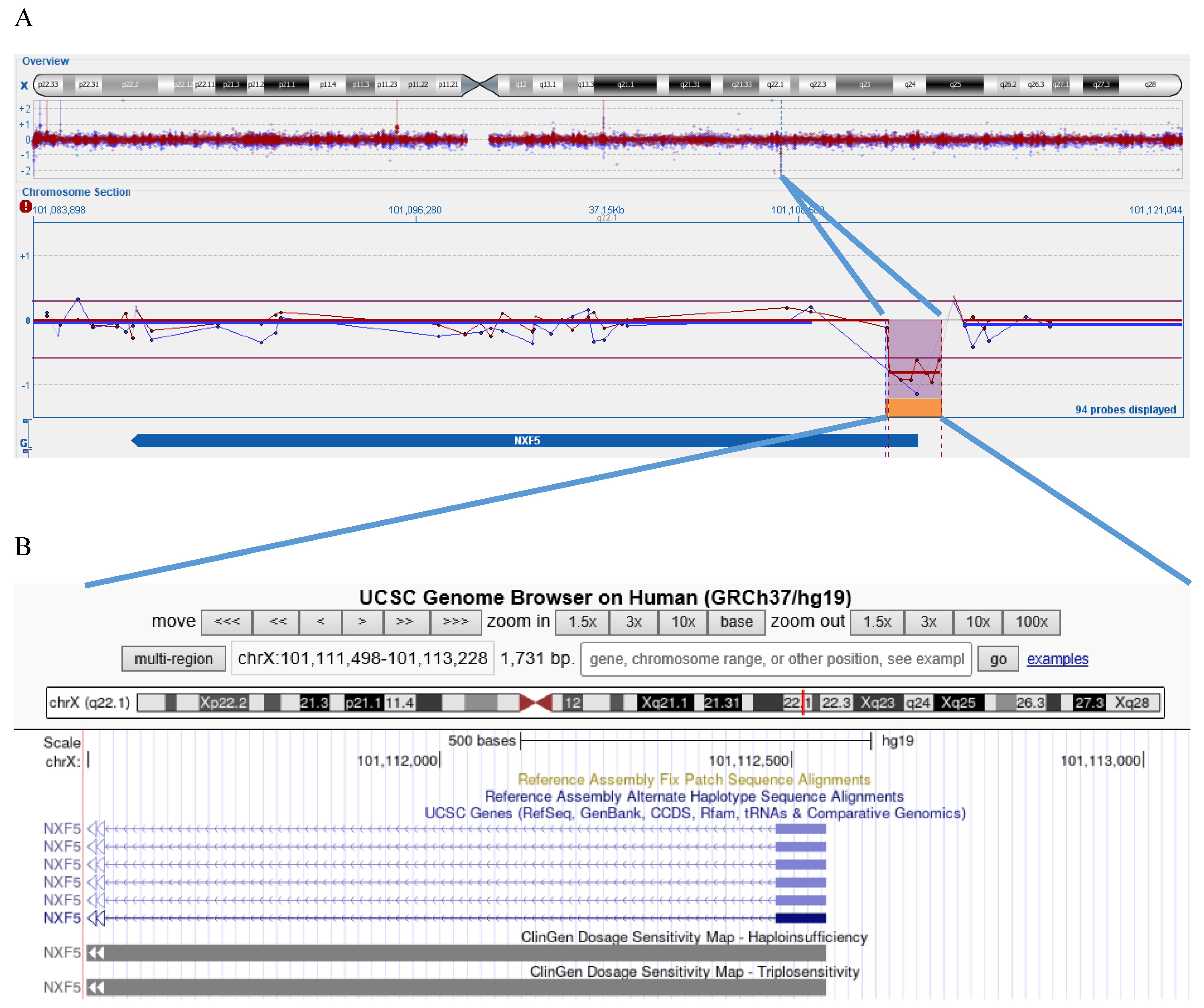 Genes 16 00571 g001 Genes 16 00571 g001