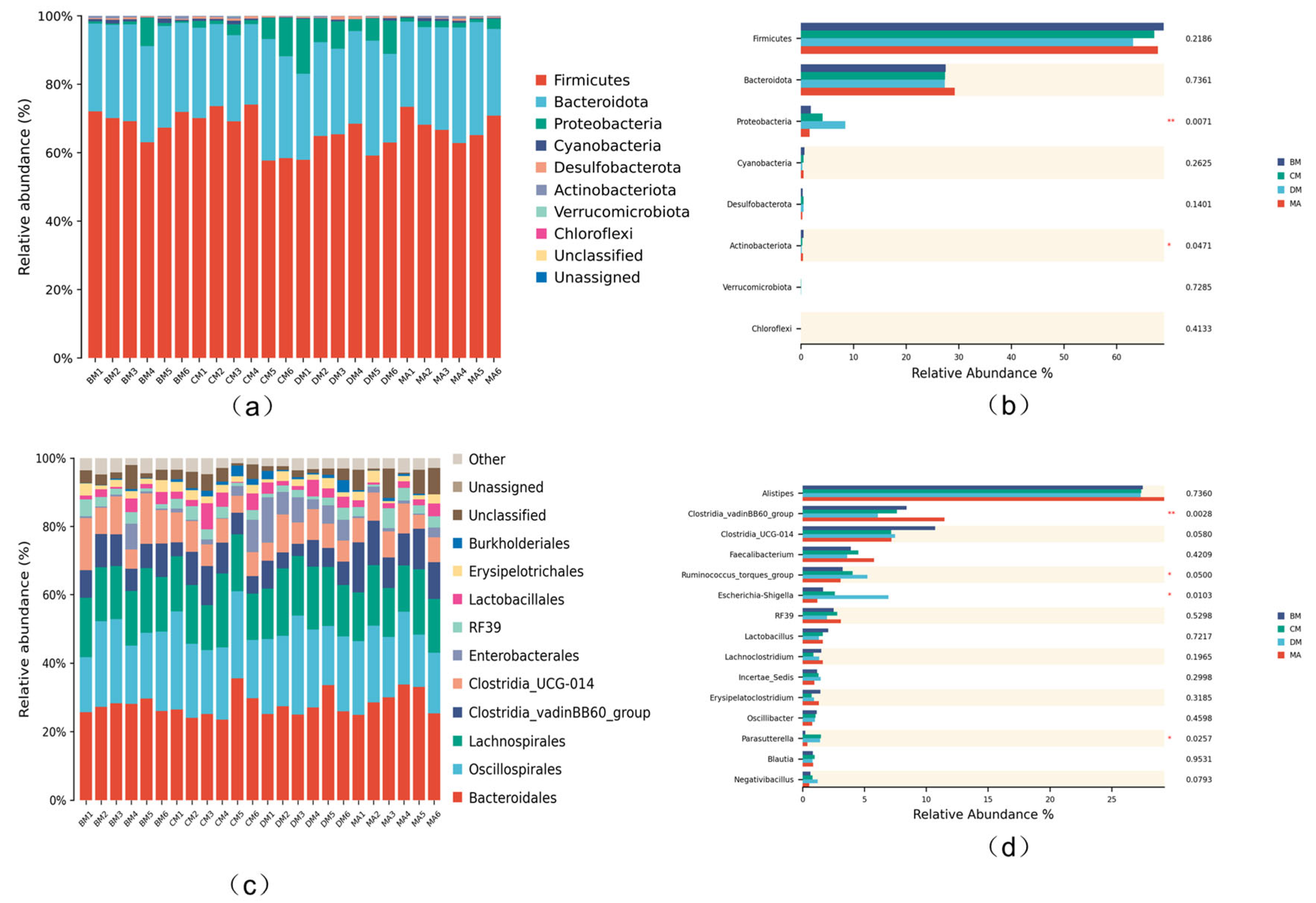 Genes 16 00572 g004