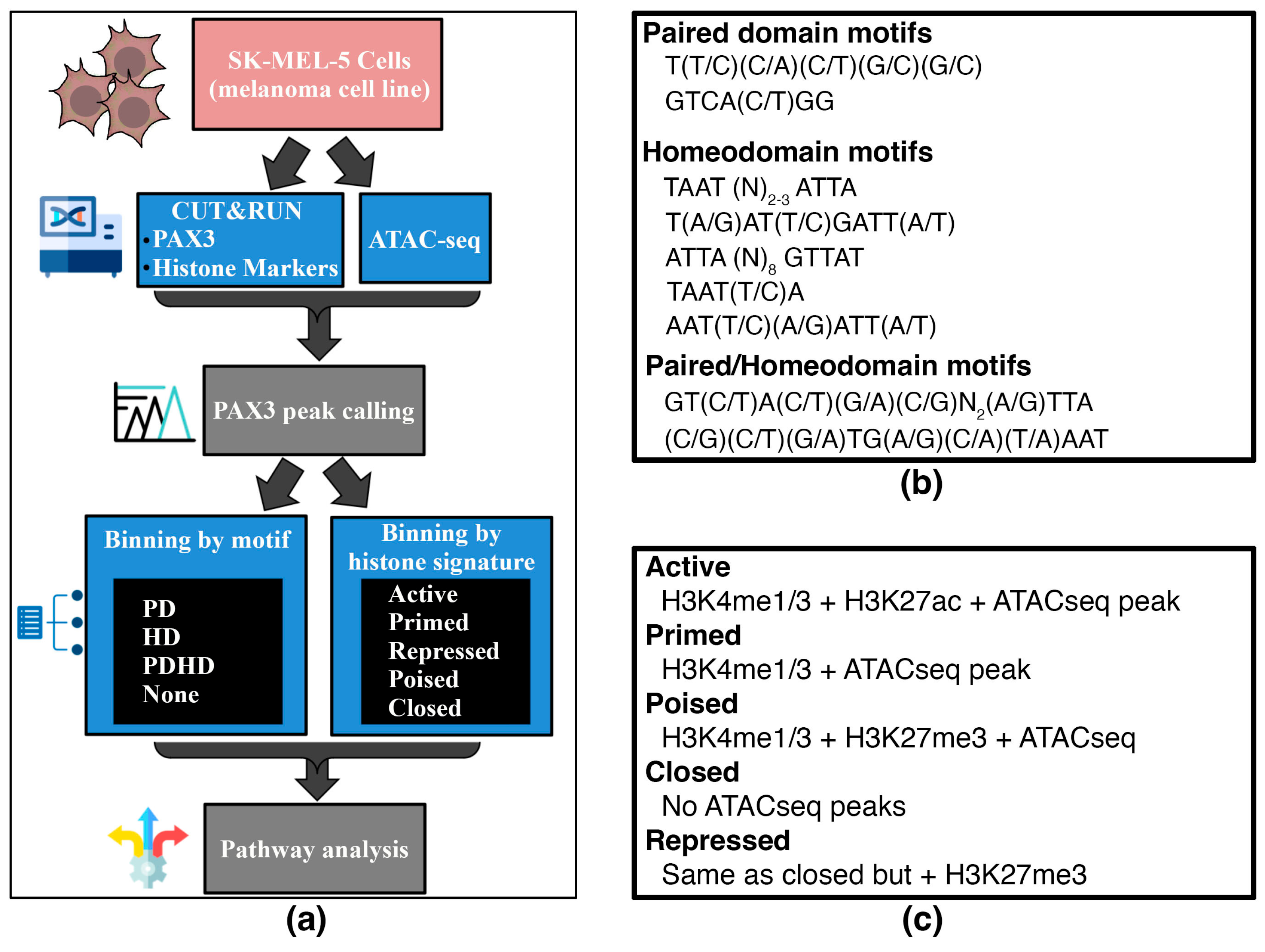Genes 16 00577 g002 Genes 16 00577 g002