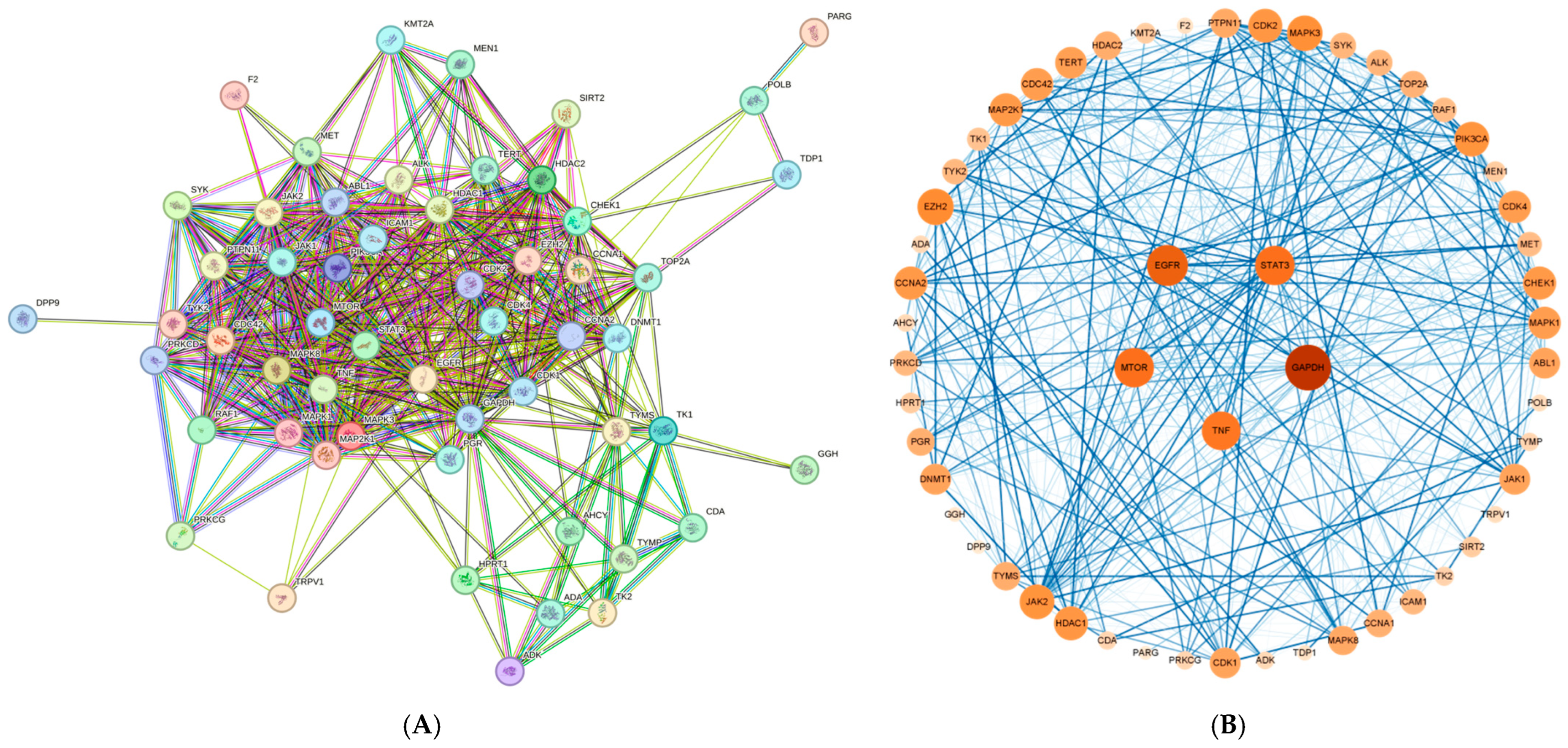 Genes 16 00580 g004