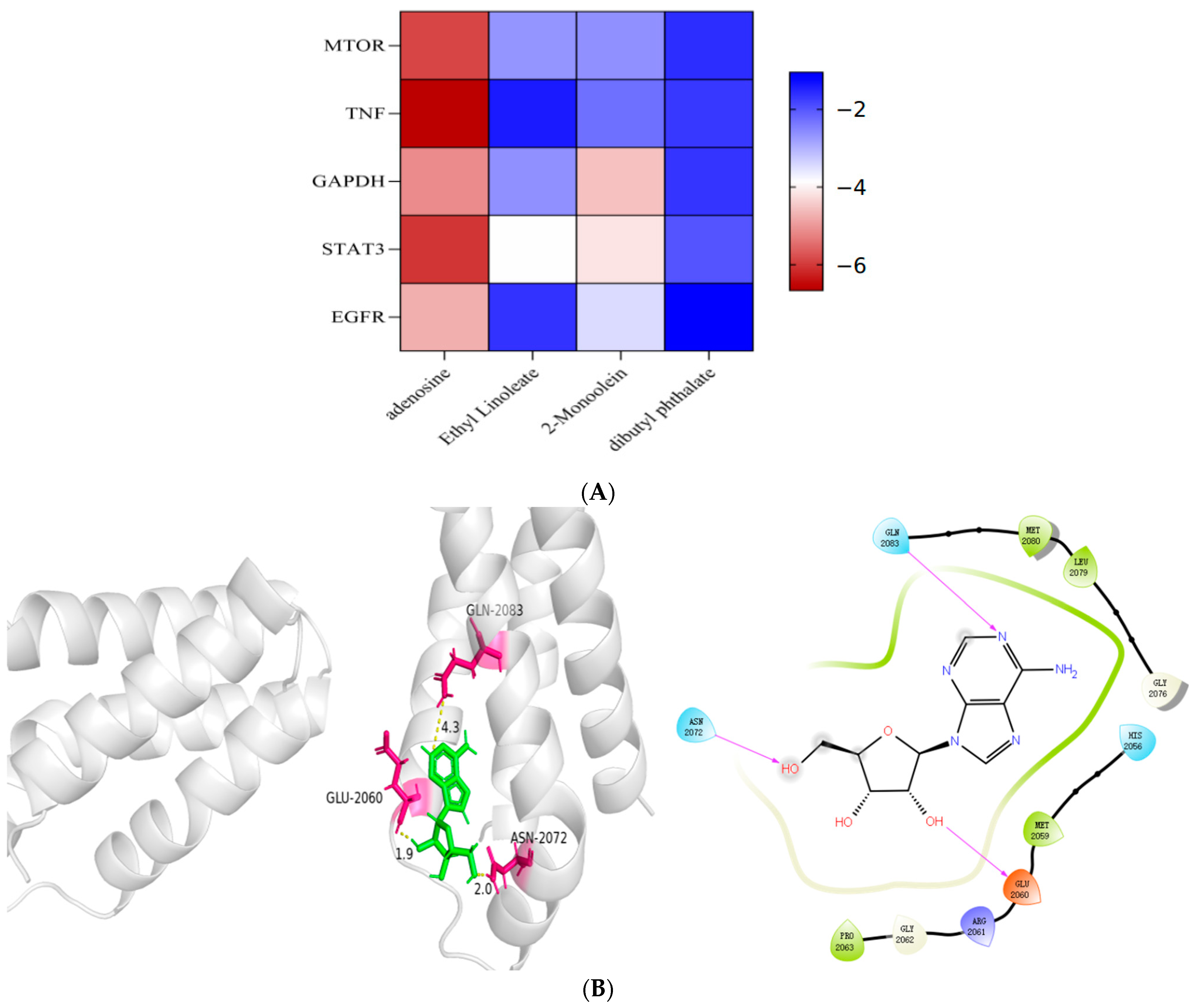 Genes 16 00580 g008a