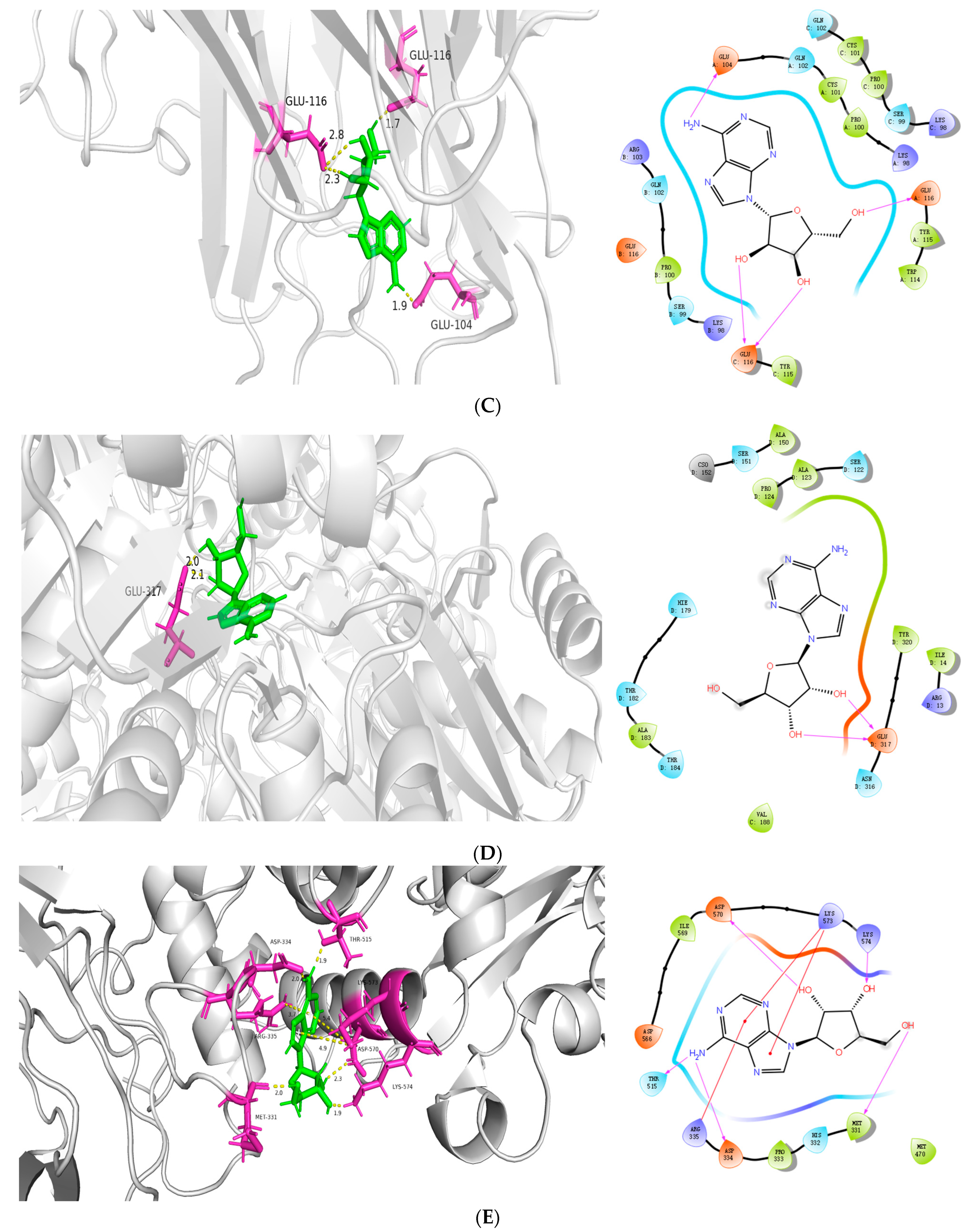 Genes 16 00580 g008b