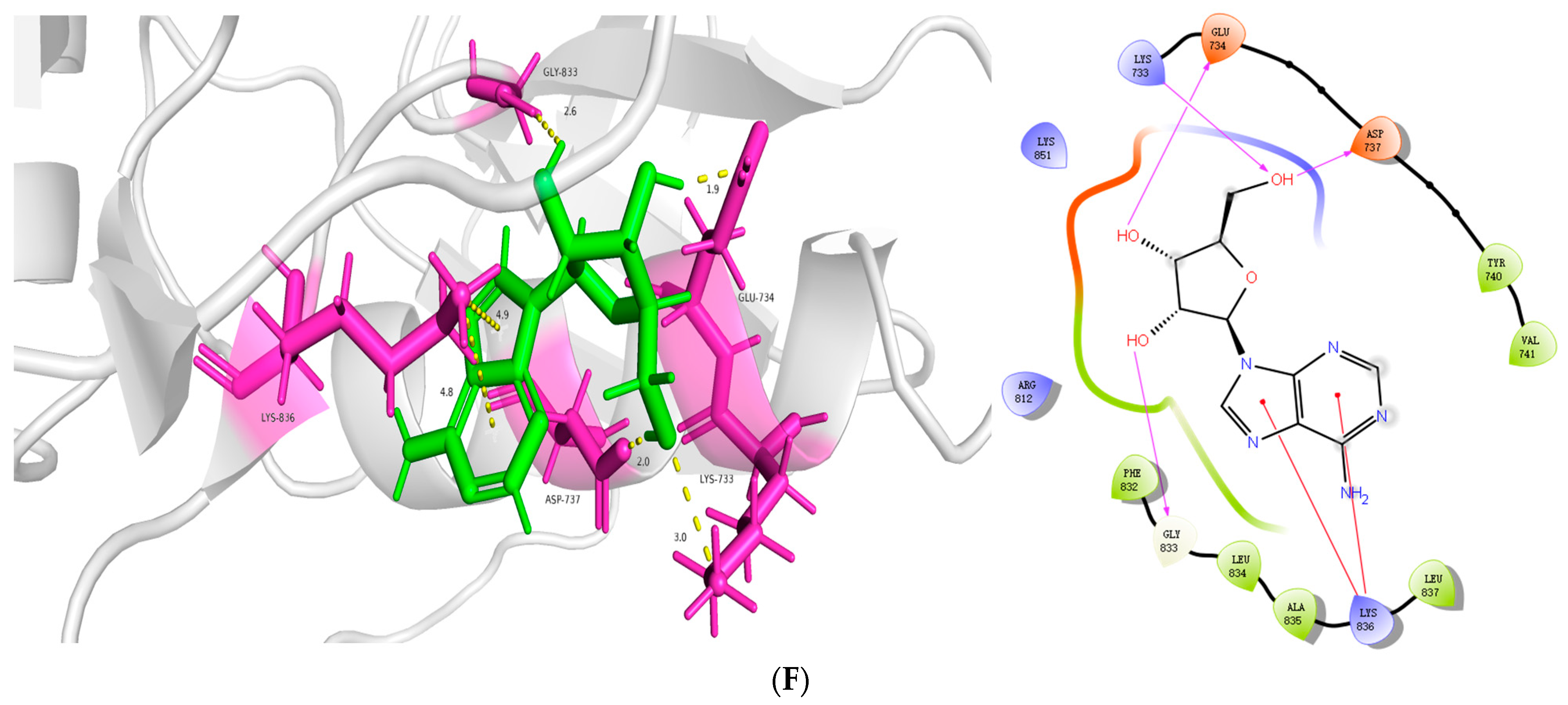 Genes 16 00580 g008c