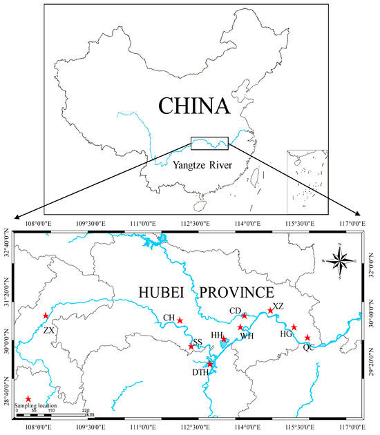 Frontiers | Study of the characteristics of electron