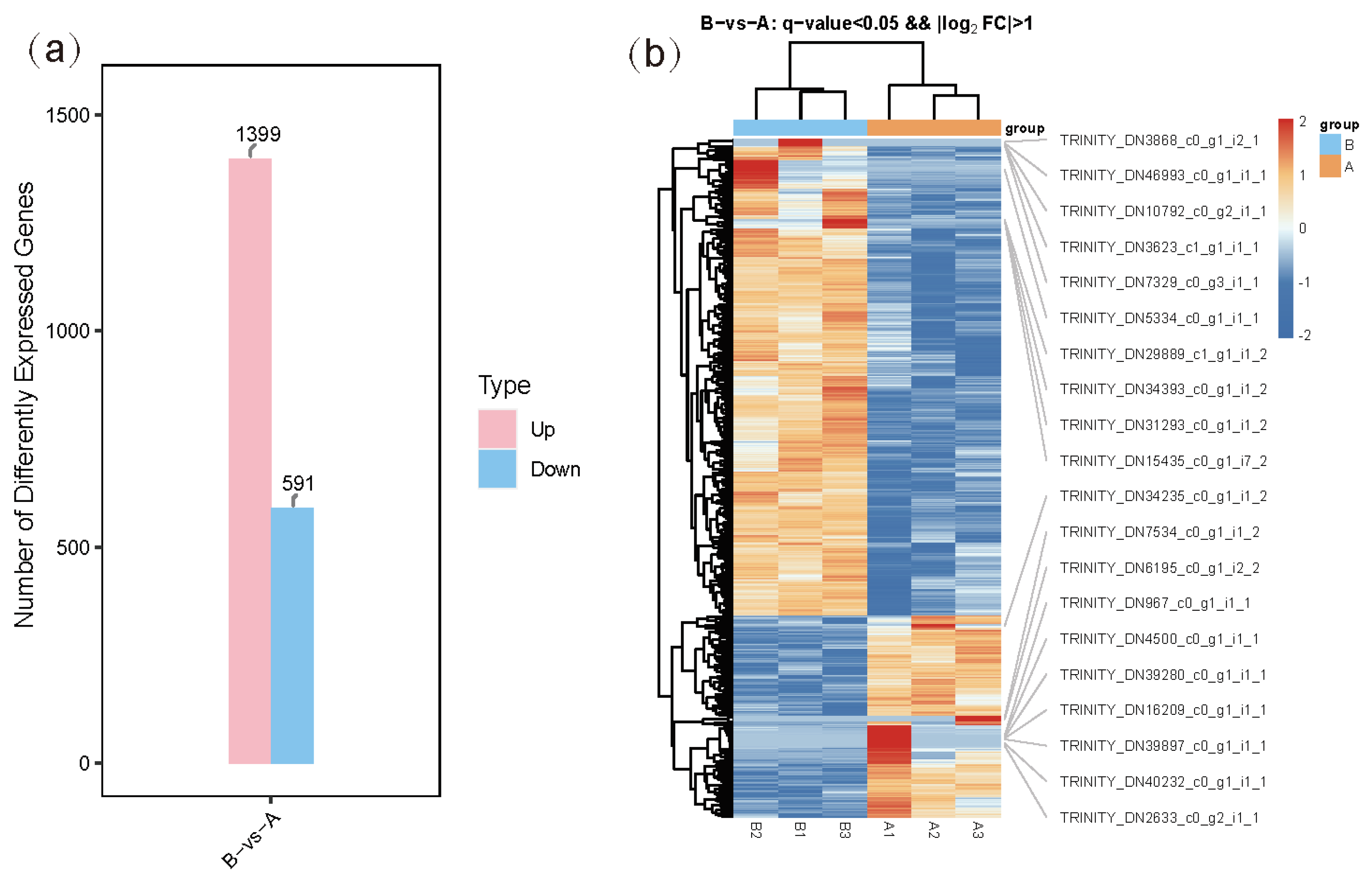 Genes 16 00587 g001