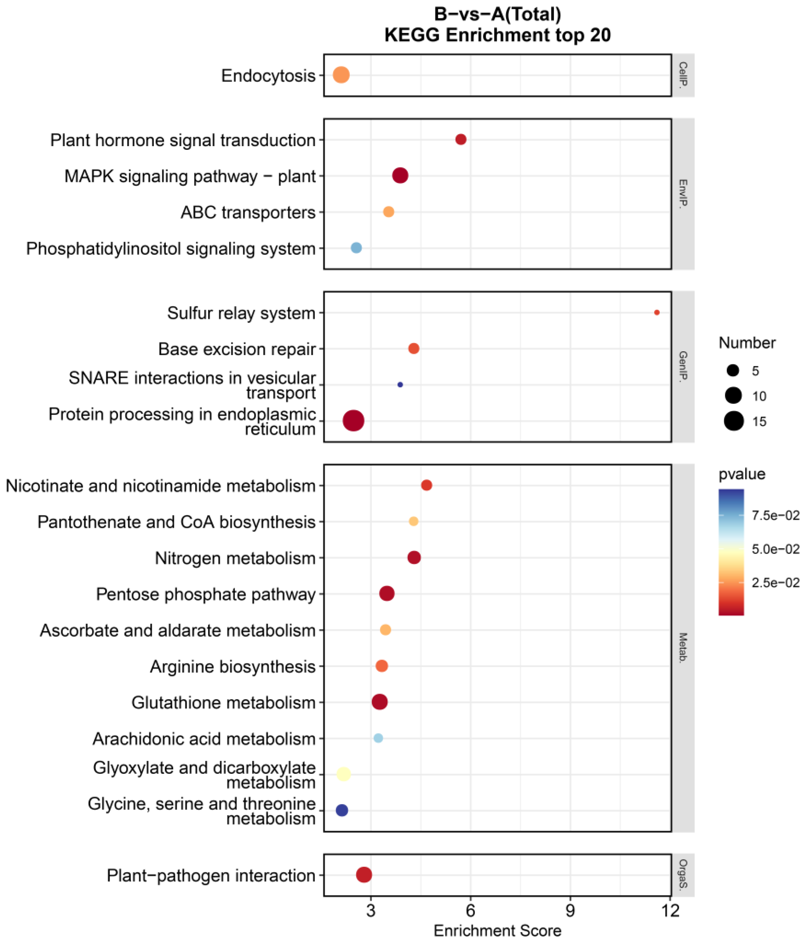 Genes 16 00587 g003
