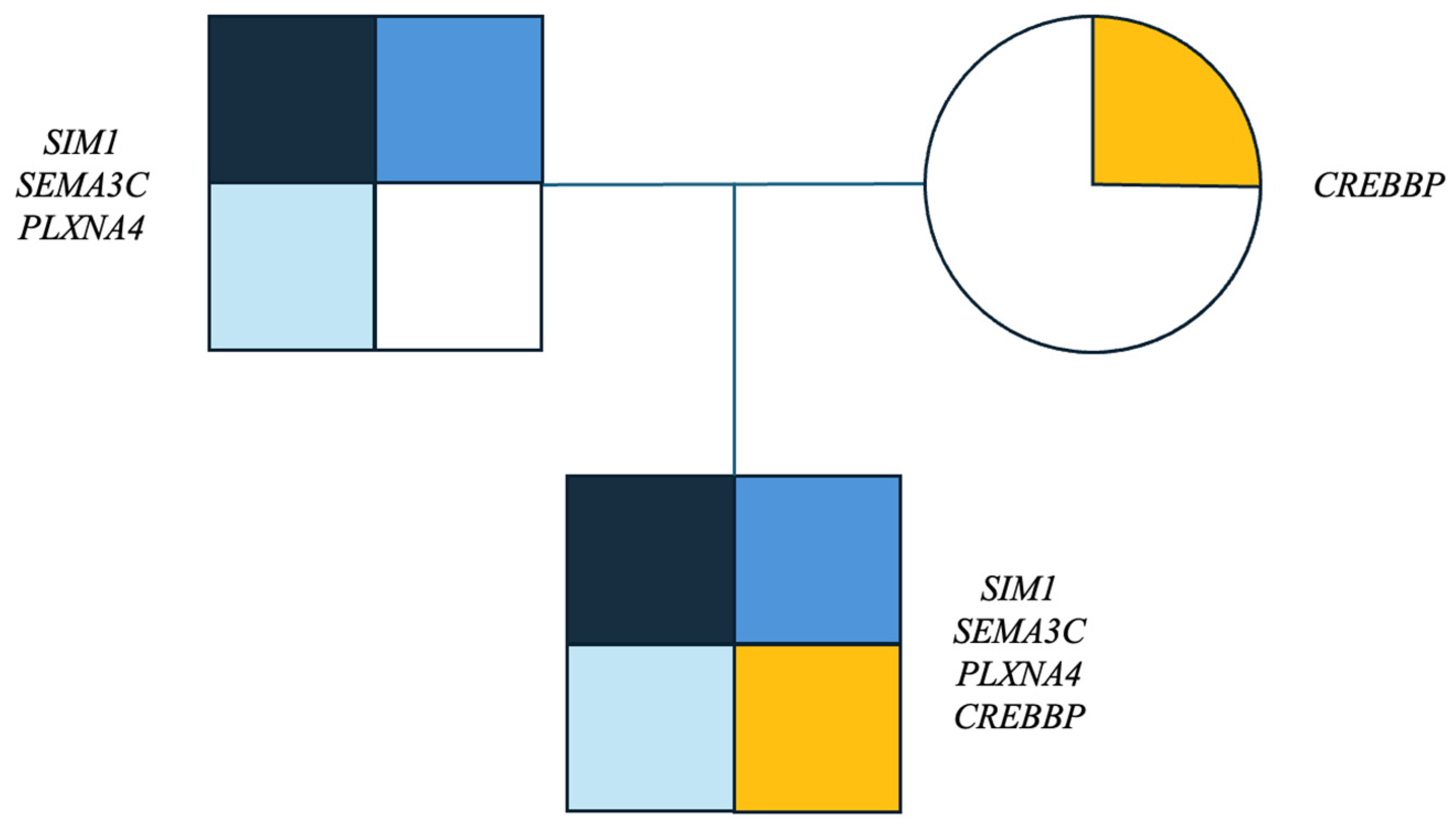 Genes 16 00588 g002 Genes 16 00588 g002