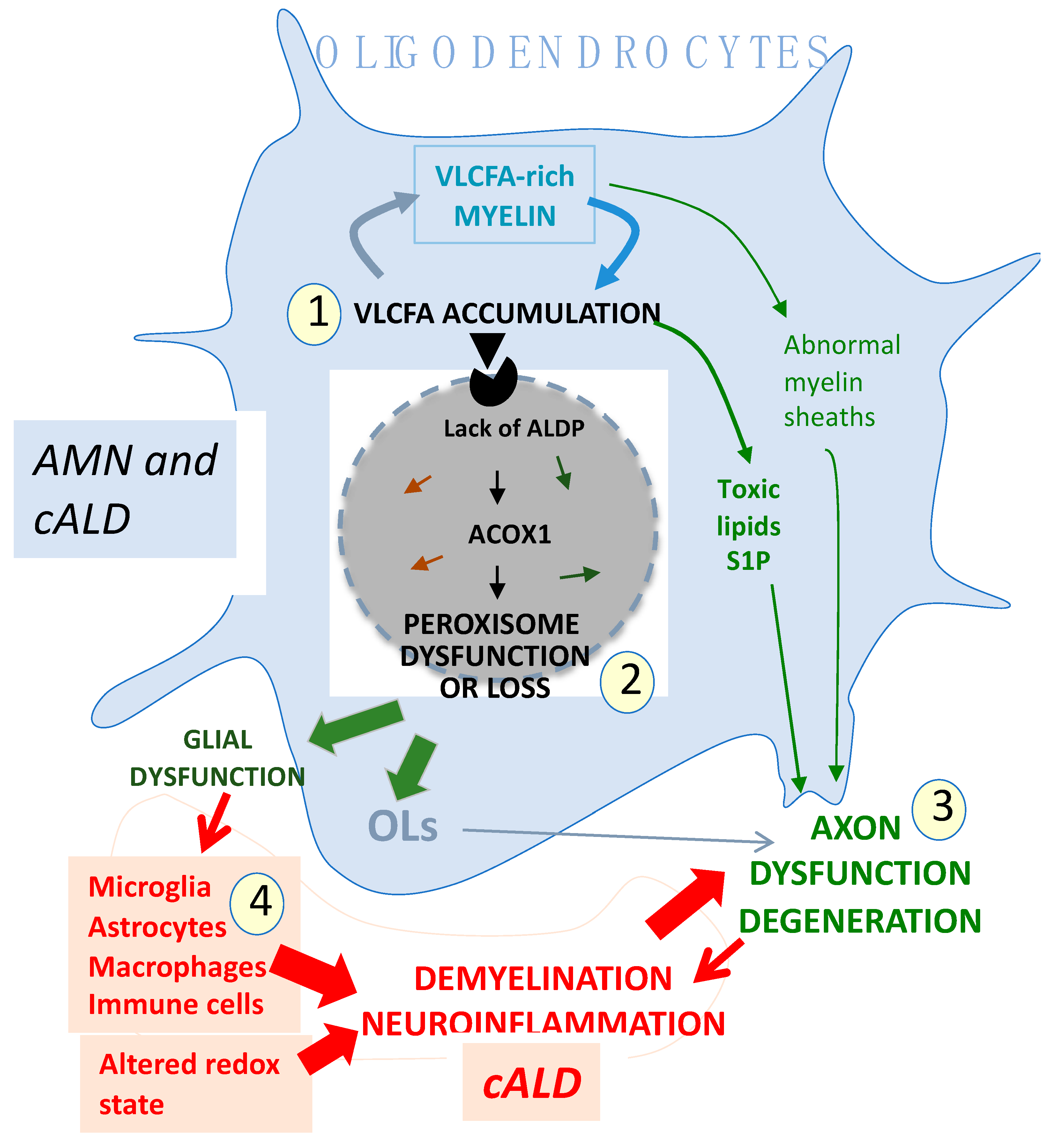 His own tale of desire