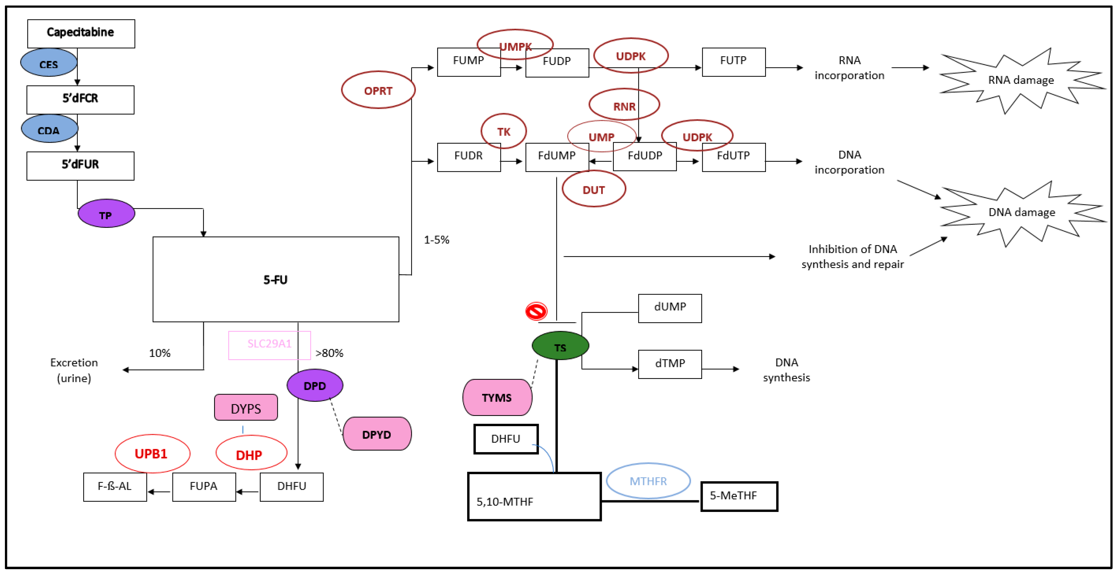Genes 16 00592 g001 Genes 16 00592 g001