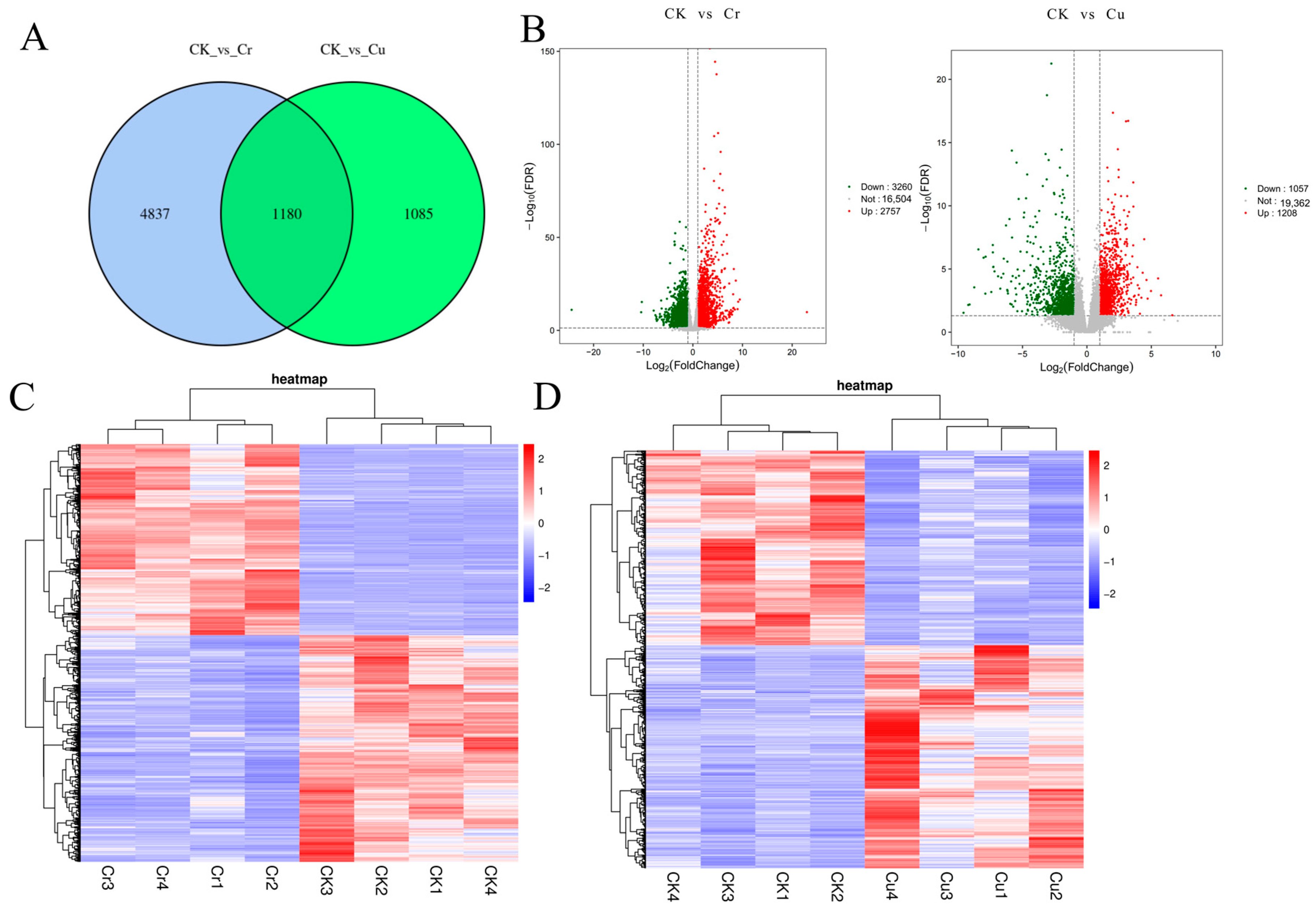 Genes 16 00595 g003
