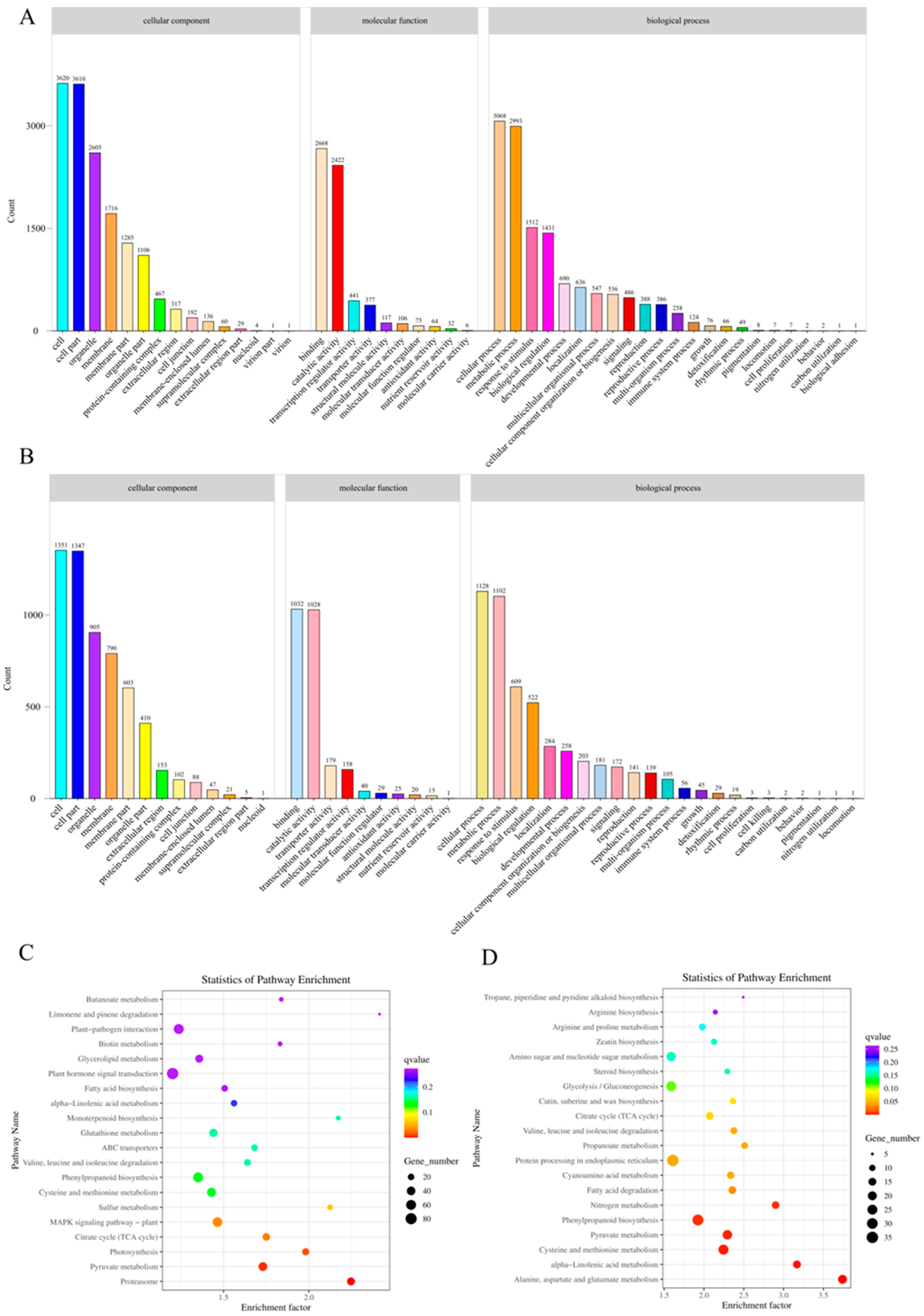 Genes 16 00595 g004