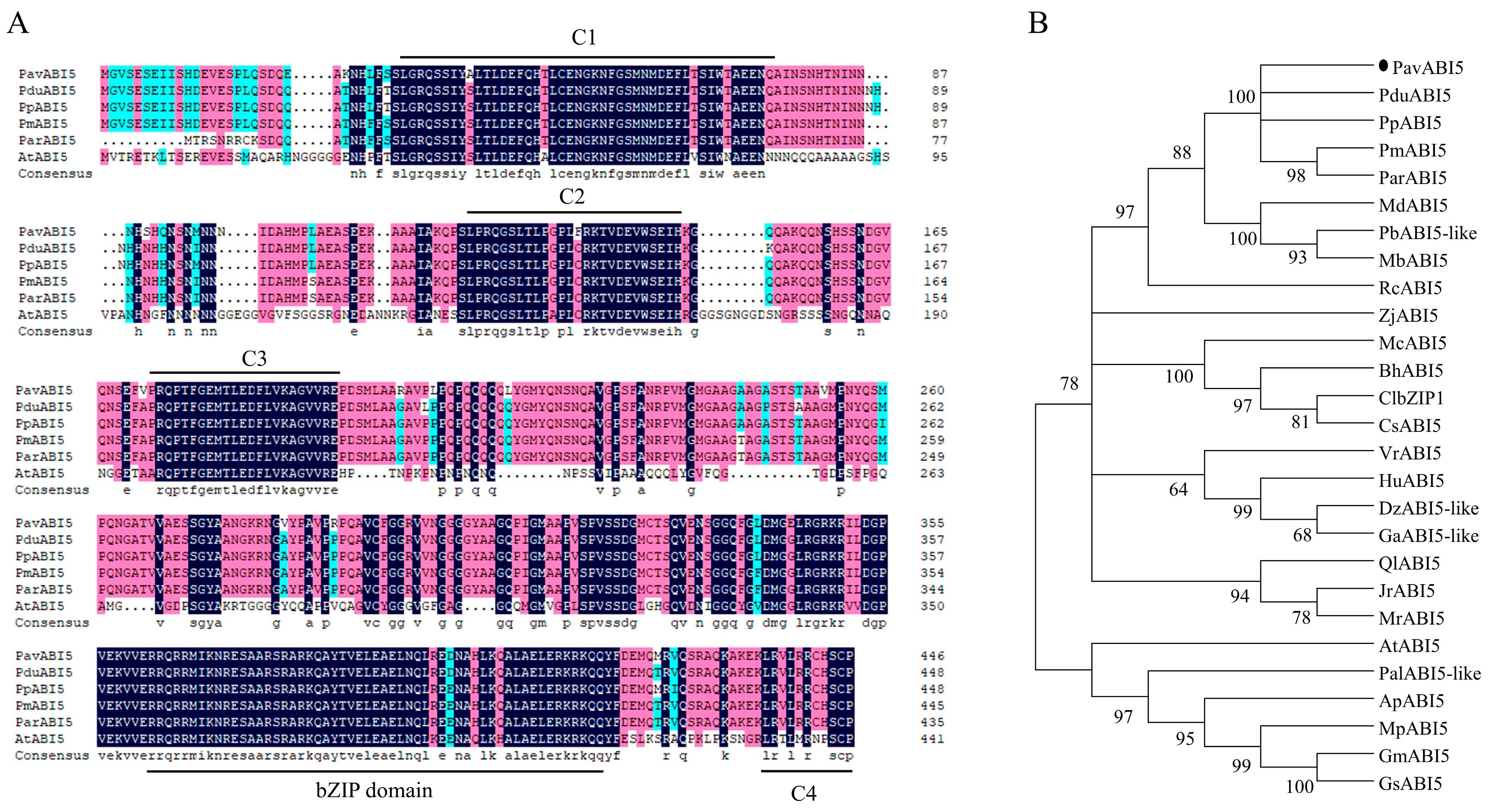 Genes 16 00596 g001