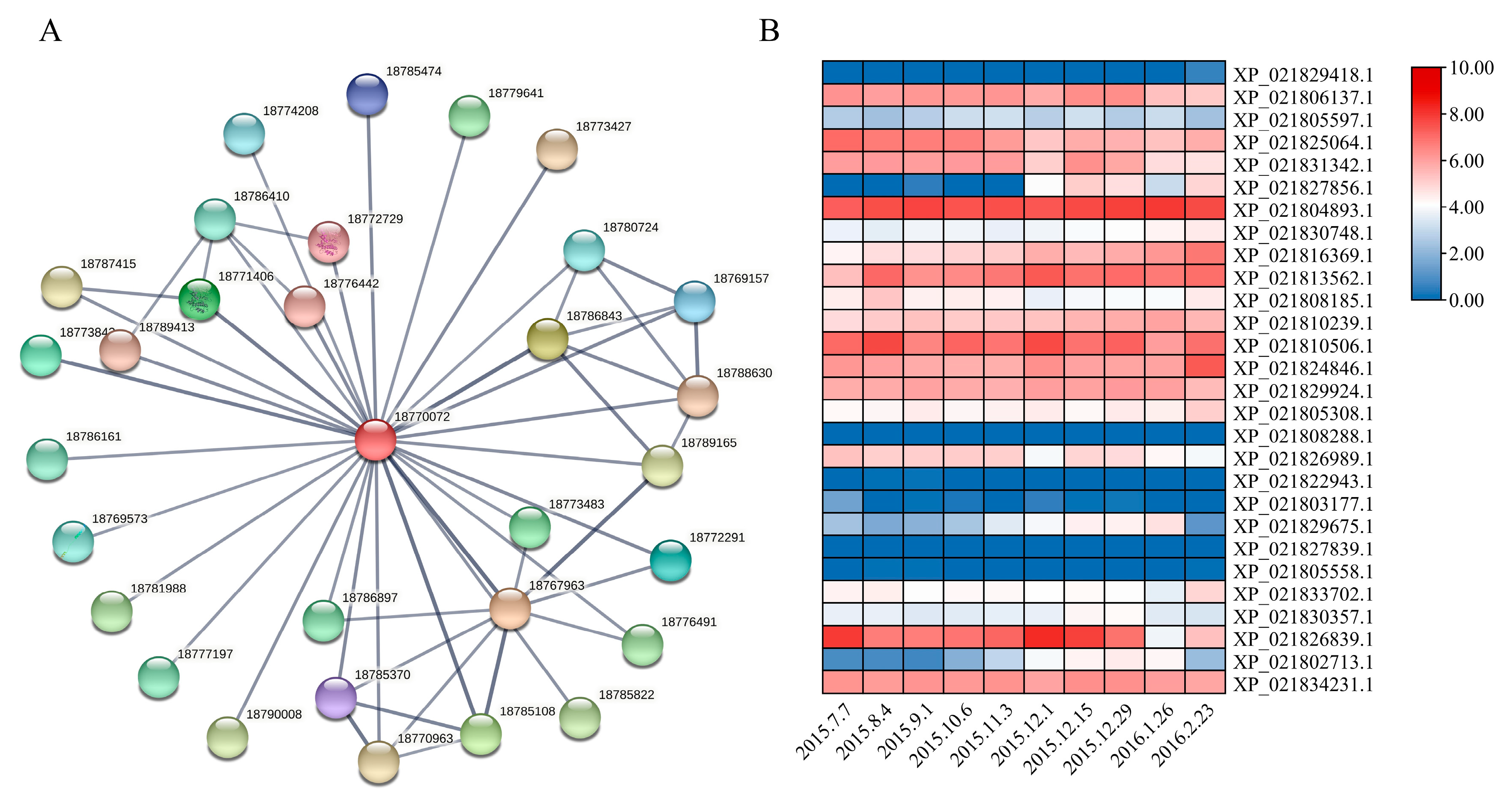 Genes 16 00596 g006
