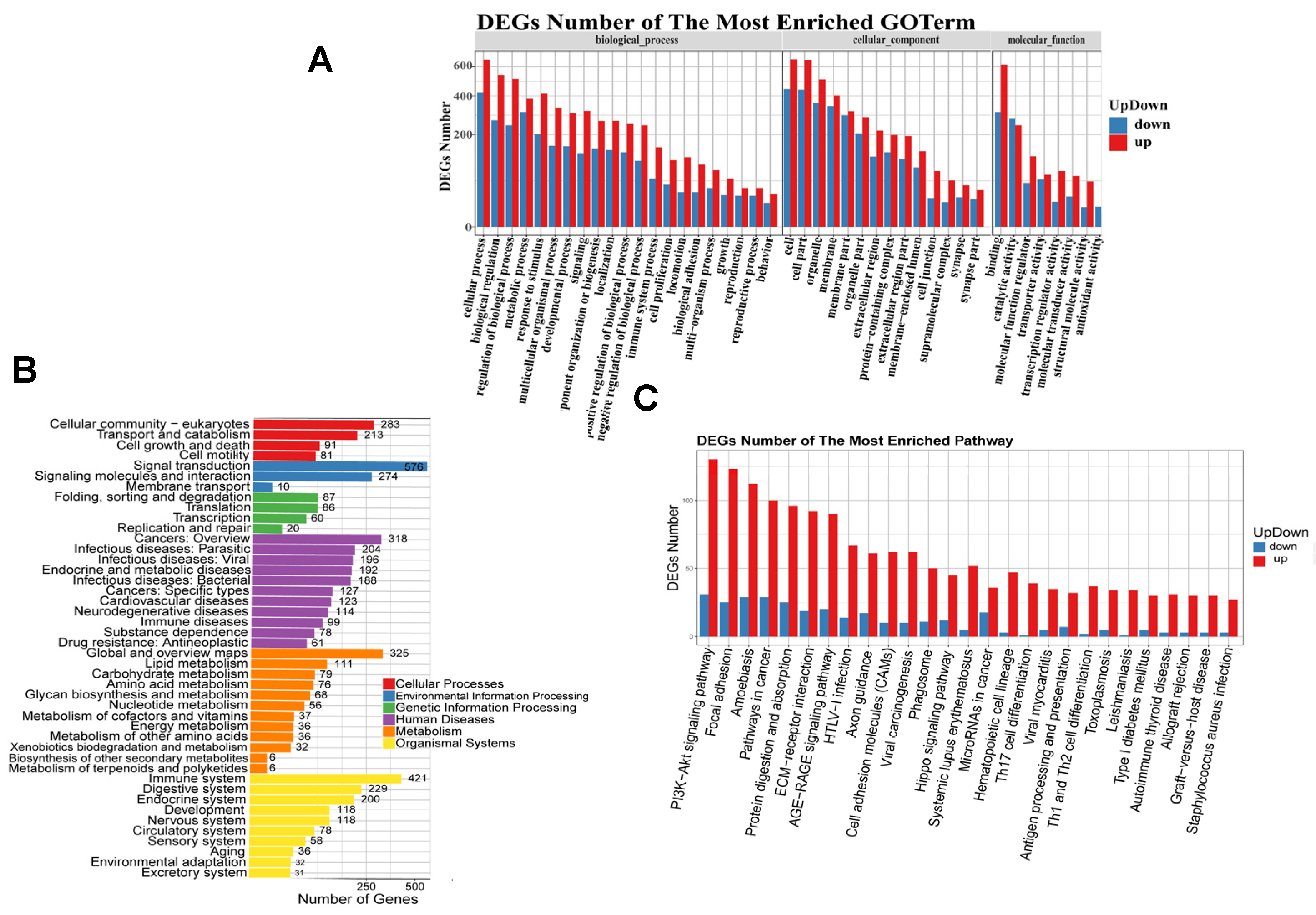 Genes 16 00602 g003a