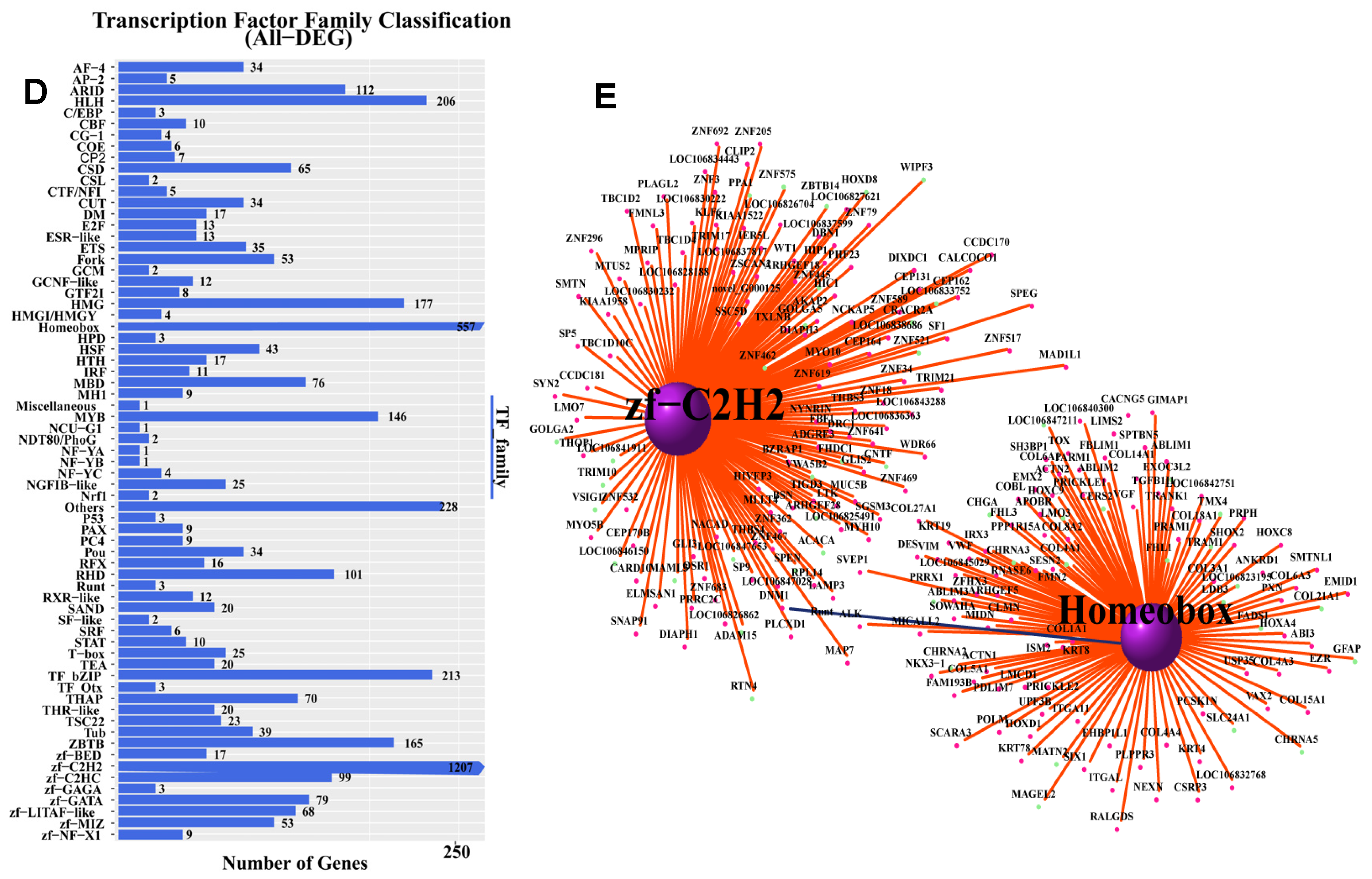 Genes 16 00602 g003b